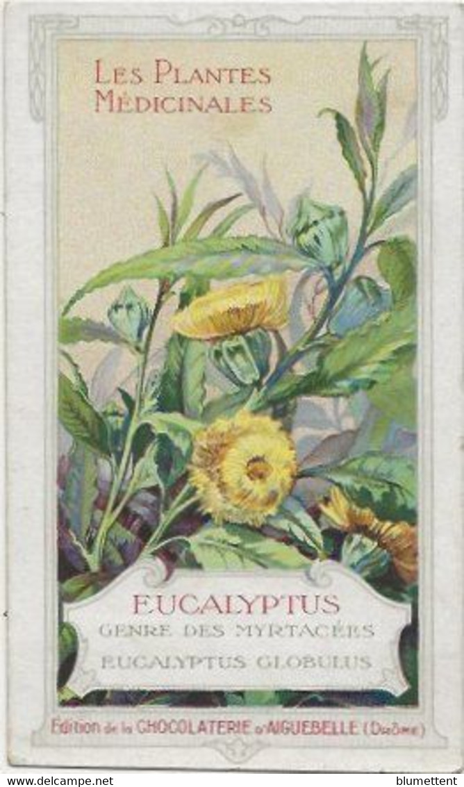 Chromo Aiguebelle 6.5 X 11 Les Plantes Médicinales - Eucalyptus - Aiguebelle
