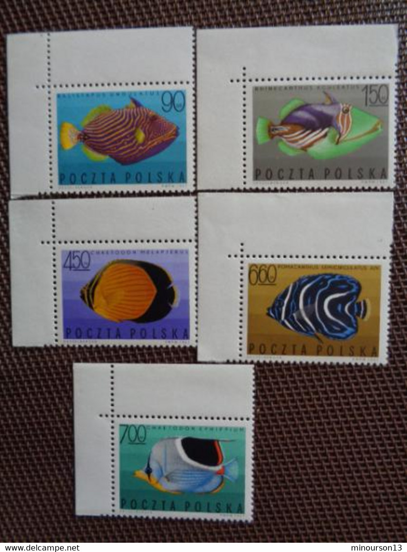 LOT DE NOMBREUX TIMBRES POLOGNES, BLOCS SERIES, POISSONS, FLEURS, MONUMENTS, FOLKLORE, ETC...... ** - Collections