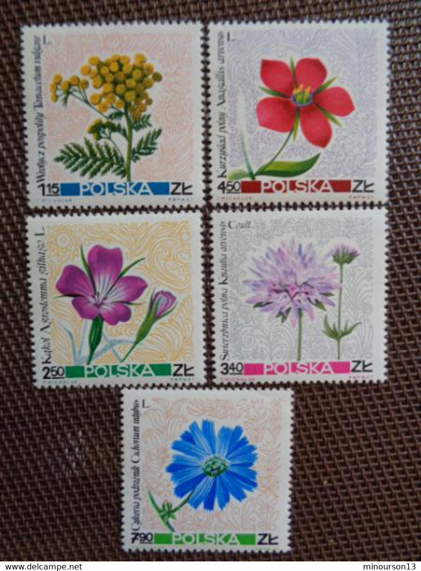 LOT DE NOMBREUX TIMBRES POLOGNES, BLOCS SERIES, POISSONS, FLEURS, MONUMENTS, FOLKLORE, ETC...... **