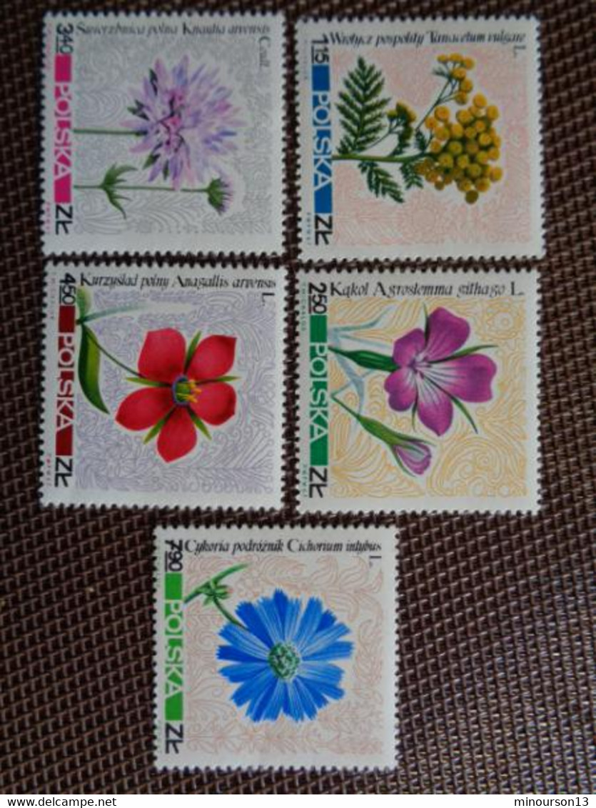 LOT DE NOMBREUX TIMBRES POLOGNES, BLOCS SERIES, POISSONS, FLEURS, MONUMENTS, FOLKLORE, ETC...... **