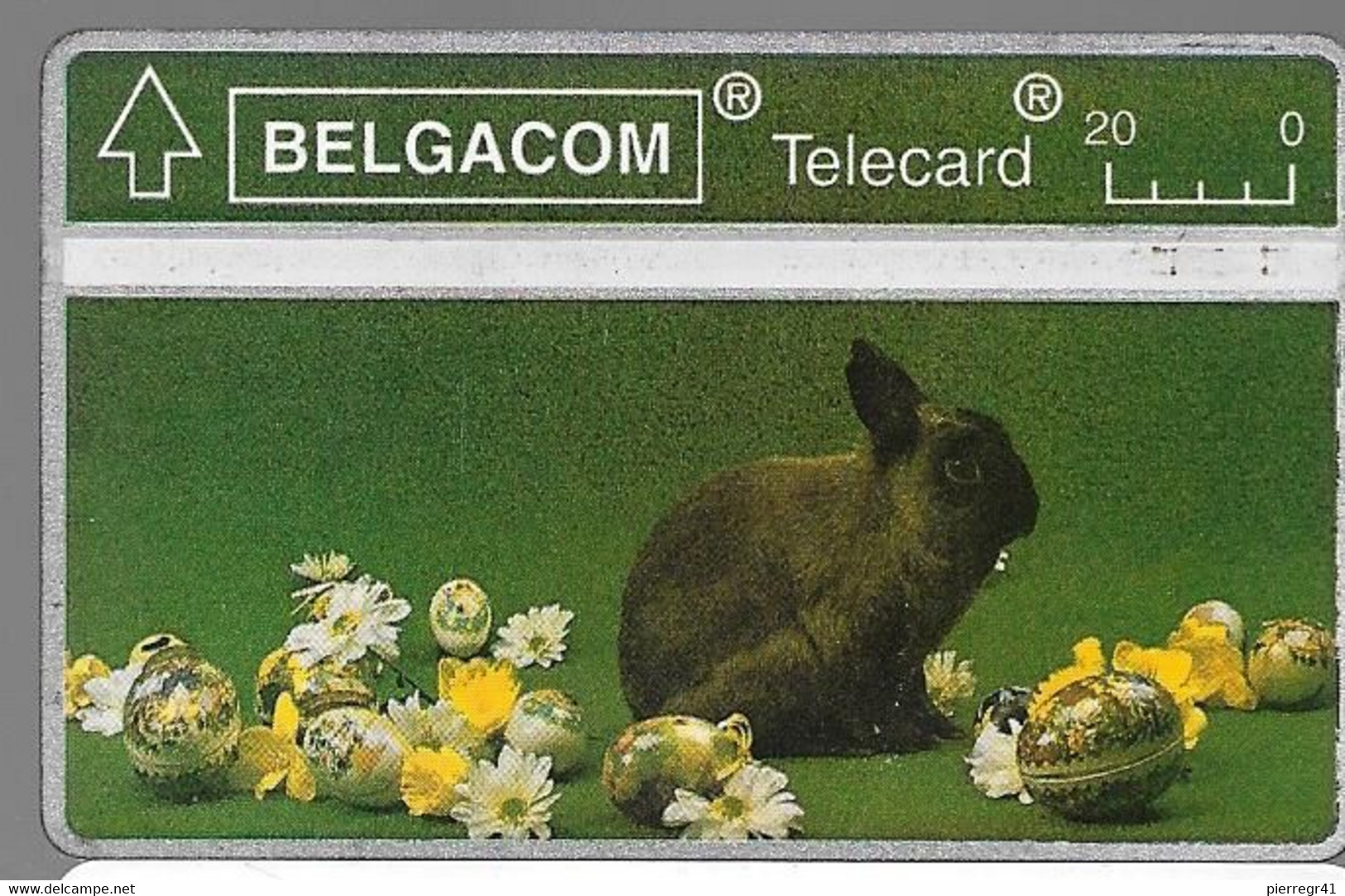 CARTE-HOLOGRAPHIQUE-BELGE-LAPIN-V°N°Endroit N°303H50450-Utilisé-TBE - Lapins