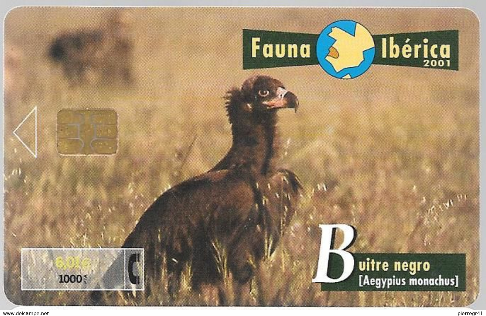 CARTE-PUCE-6€-ESPAGNE-VAUTOUR MOINE-06/01-Exp 12/03-Utilisé-TBE - Aigles & Rapaces Diurnes