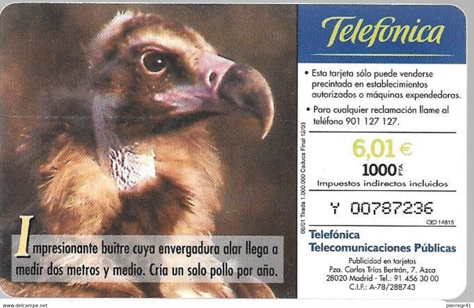 CARTE-PUCE-6€-ESPAGNE-VAUTOUR MOINE-06/01-Exp 12/03-Utilisé-TBE - Águilas & Aves De Presa
