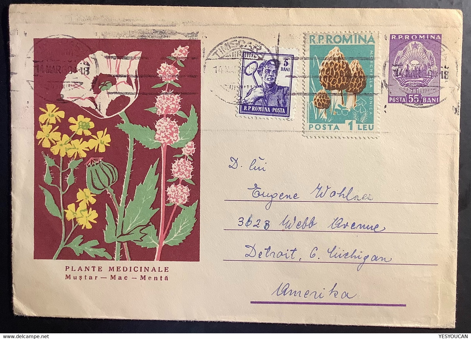 1960 Illustrated Postal Stationery: Plante Médicinale Medecine Plants Fleurs Flowers Mushroom Pilze (Romania Roumanie - Interi Postali