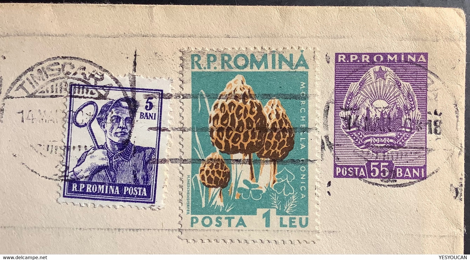 1960 Illustrated Postal Stationery: Plante Médicinale Medecine Plants Fleurs Flowers Mushroom Pilze (Romania Roumanie - Postwaardestukken