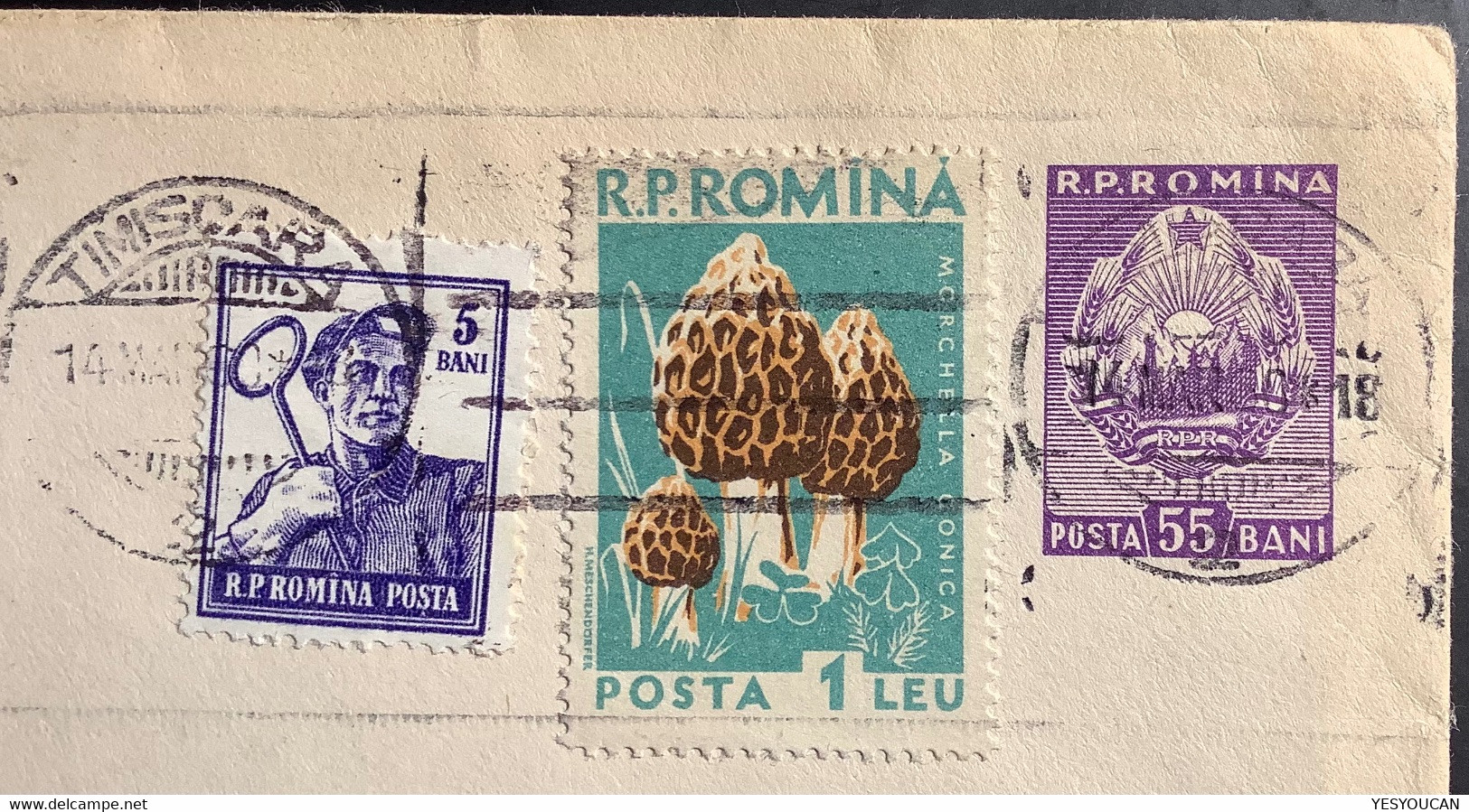 1960 Illustrated Postal Stationery: Plante Médicinale Medecine Plants Fleurs Flowers Mushroom Pilze (Romania Roumanie - Enteros Postales