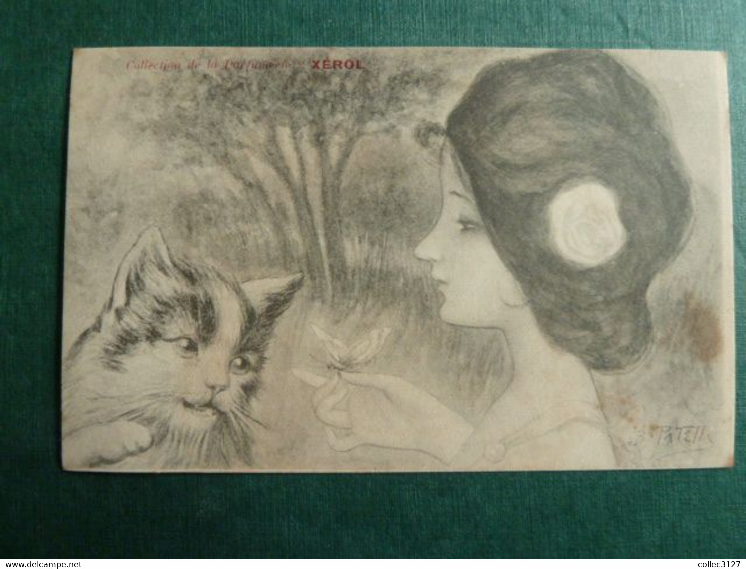 P1 - Illustrateur D. Patella- Art Nouveau - Collection De La Parfumerie Xerol - Chat - Chaton - Other & Unclassified