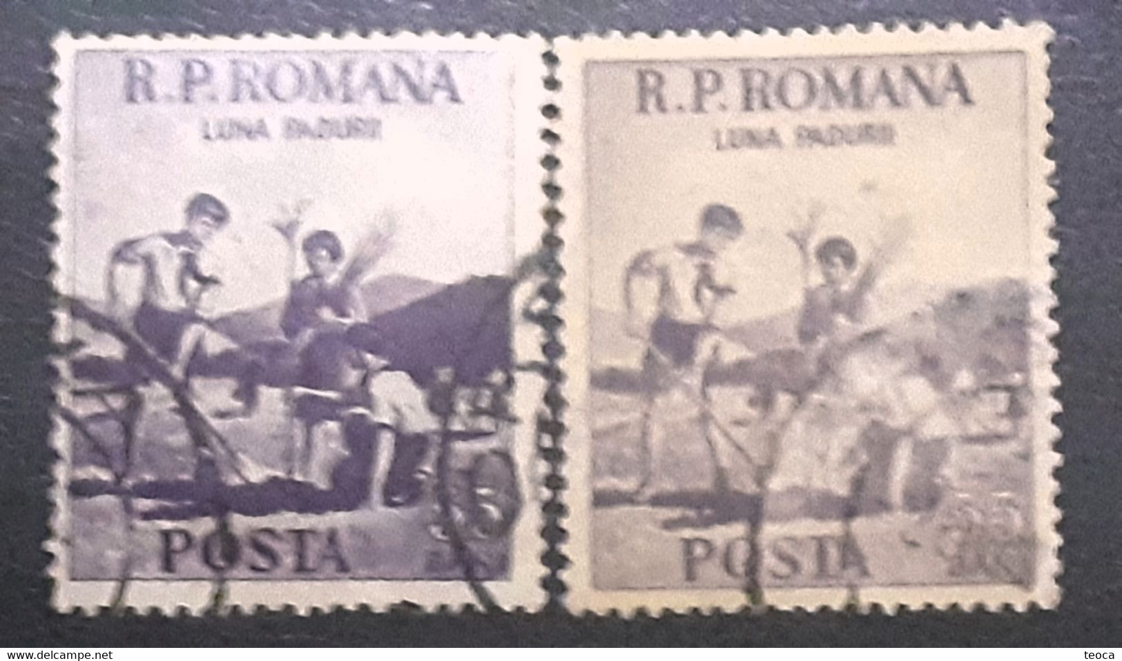 Errors Stamps Romania 1954 # 1465 Printed With Lilac On Yellow, Pioneers Planting Trees - Abarten Und Kuriositäten