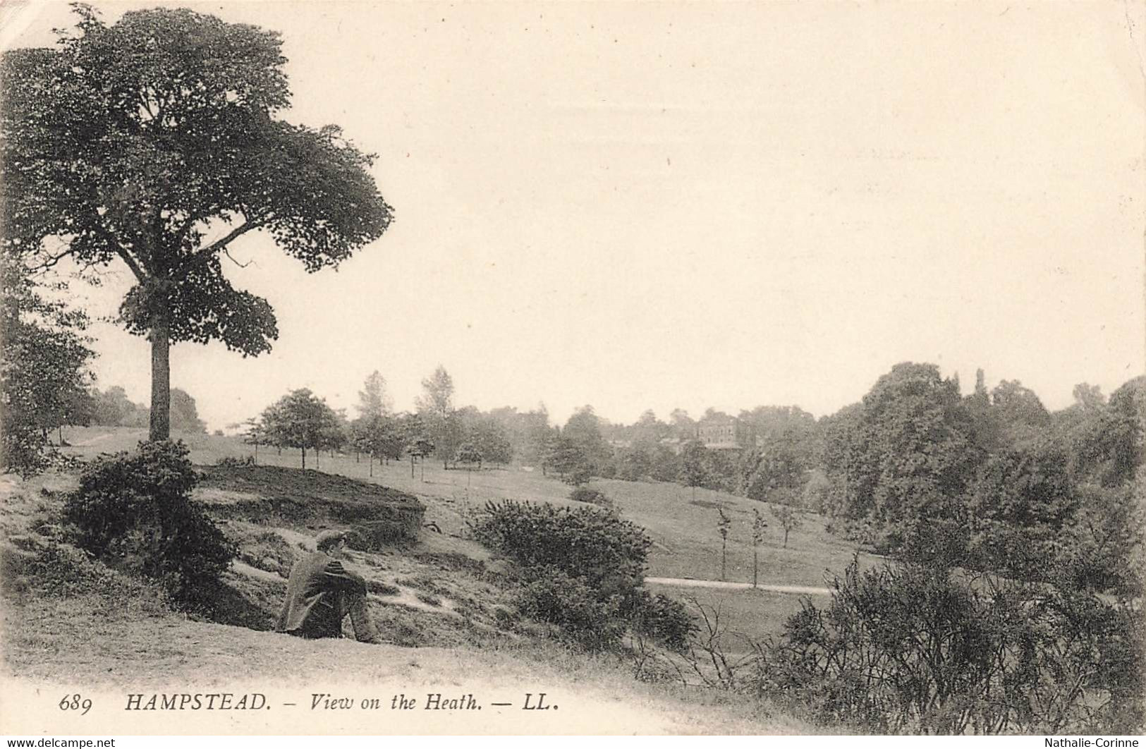 Hampstead Heath - View Of The Heath - Animé - 1909 - London Suburbs