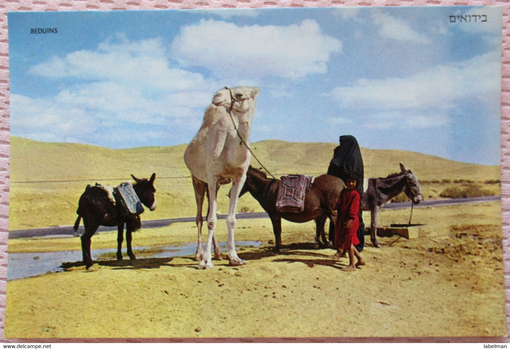 ISRAEL BEDOUIN CAMEL DONKEY BEER SHEBA NEGEV DESERT POSTCARD PHOTO CARTE POSTALE ANSICHTSKARTE CARD PC CP AK CARTOLINA - Israel