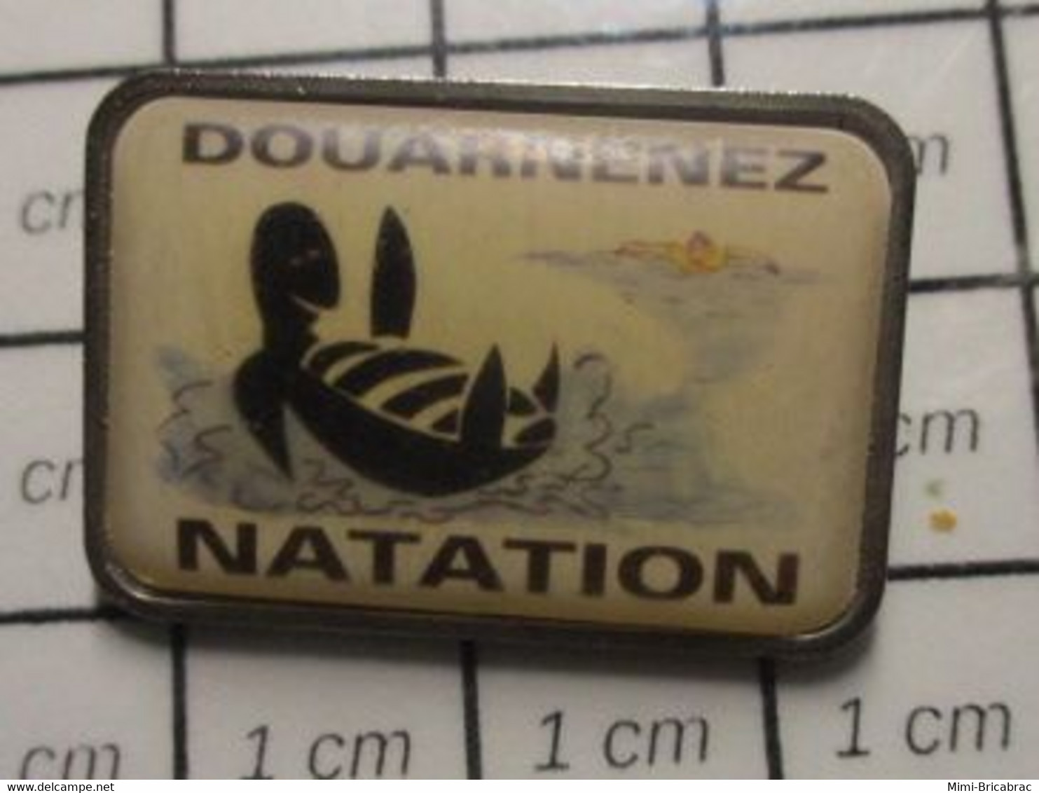 3317 Pin's Pins / Beau Et Rare / THEME : SPORTS / NATATION CLUB DOUARNENEZ TORTUE SUR LE DOS - Natation