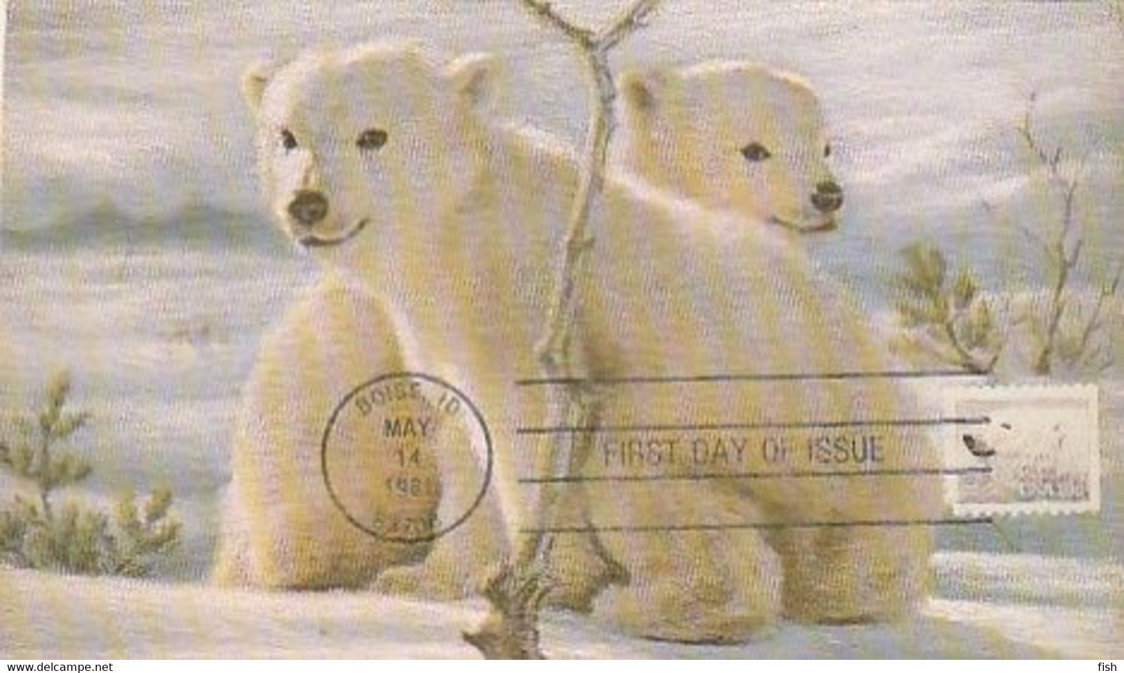 United States & Maximum Card, Bears, Boise 1981 (9799) - Maximumkarten (MC)