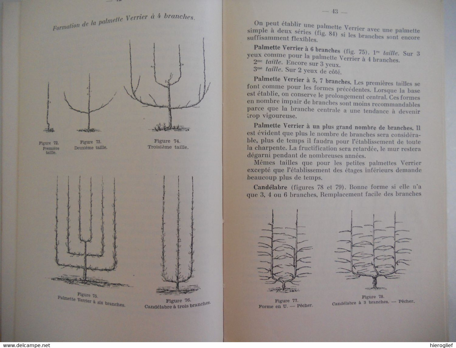 TAILLE des ARBRES FRUITIERS par F. Dufour Vilvorde 202 figures vilvoorde snoeien fruitbomen