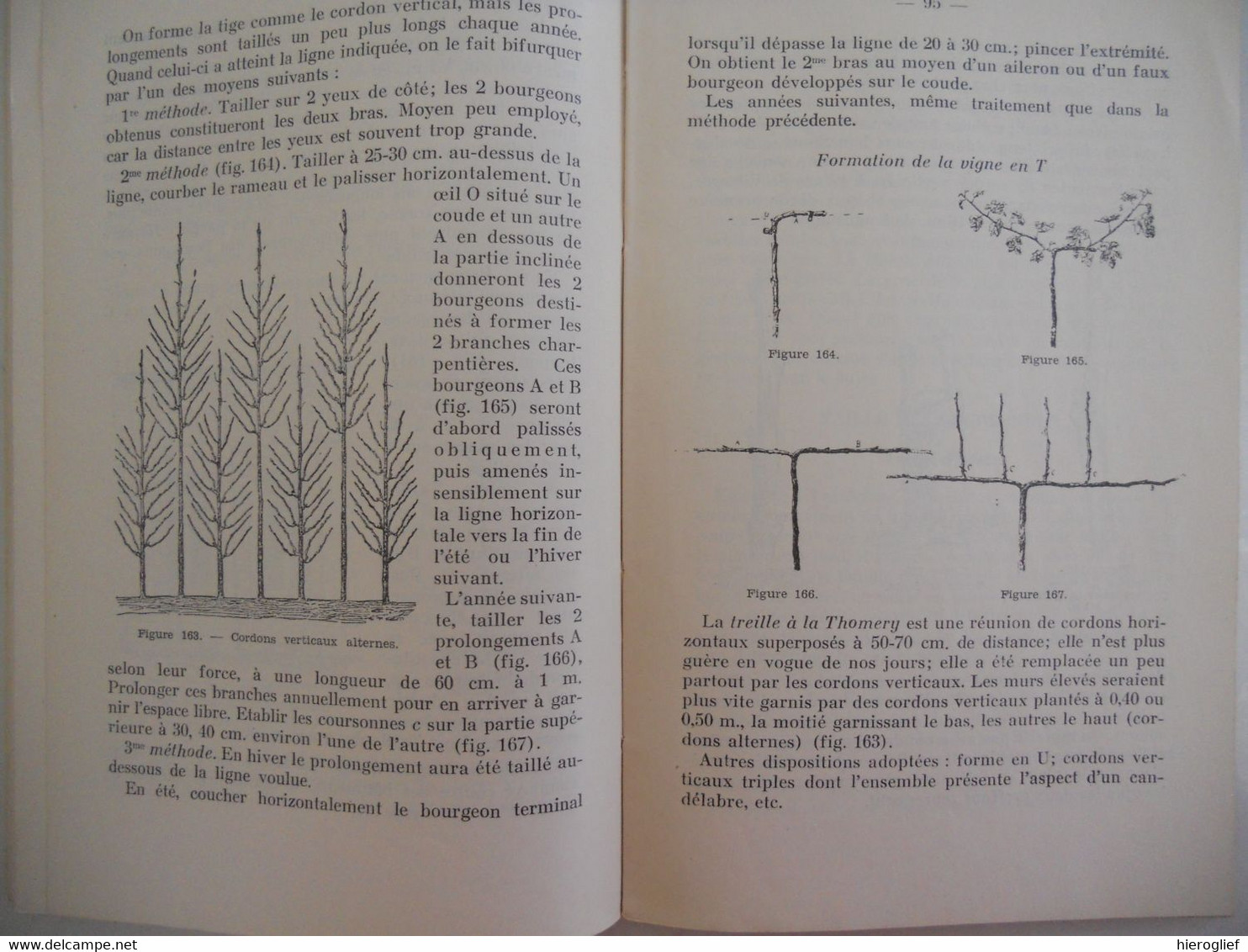 TAILLE des ARBRES FRUITIERS par F. Dufour Vilvorde 202 figures vilvoorde snoeien fruitbomen