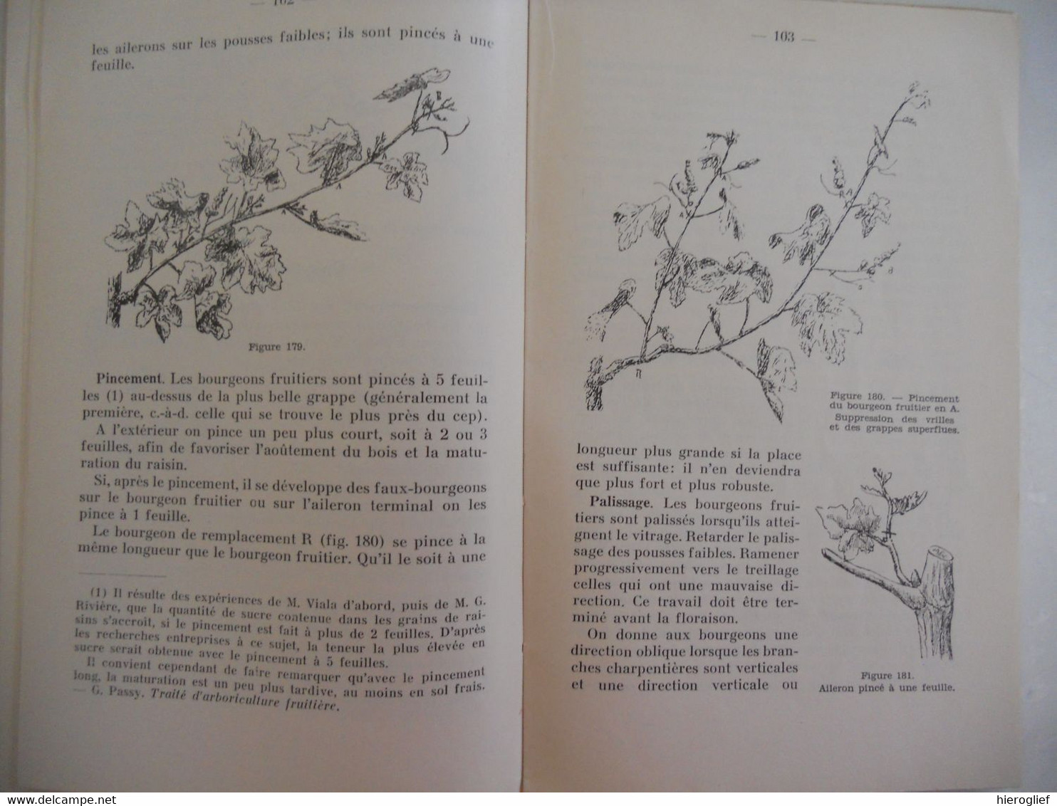 TAILLE des ARBRES FRUITIERS par F. Dufour Vilvorde 202 figures vilvoorde snoeien fruitbomen