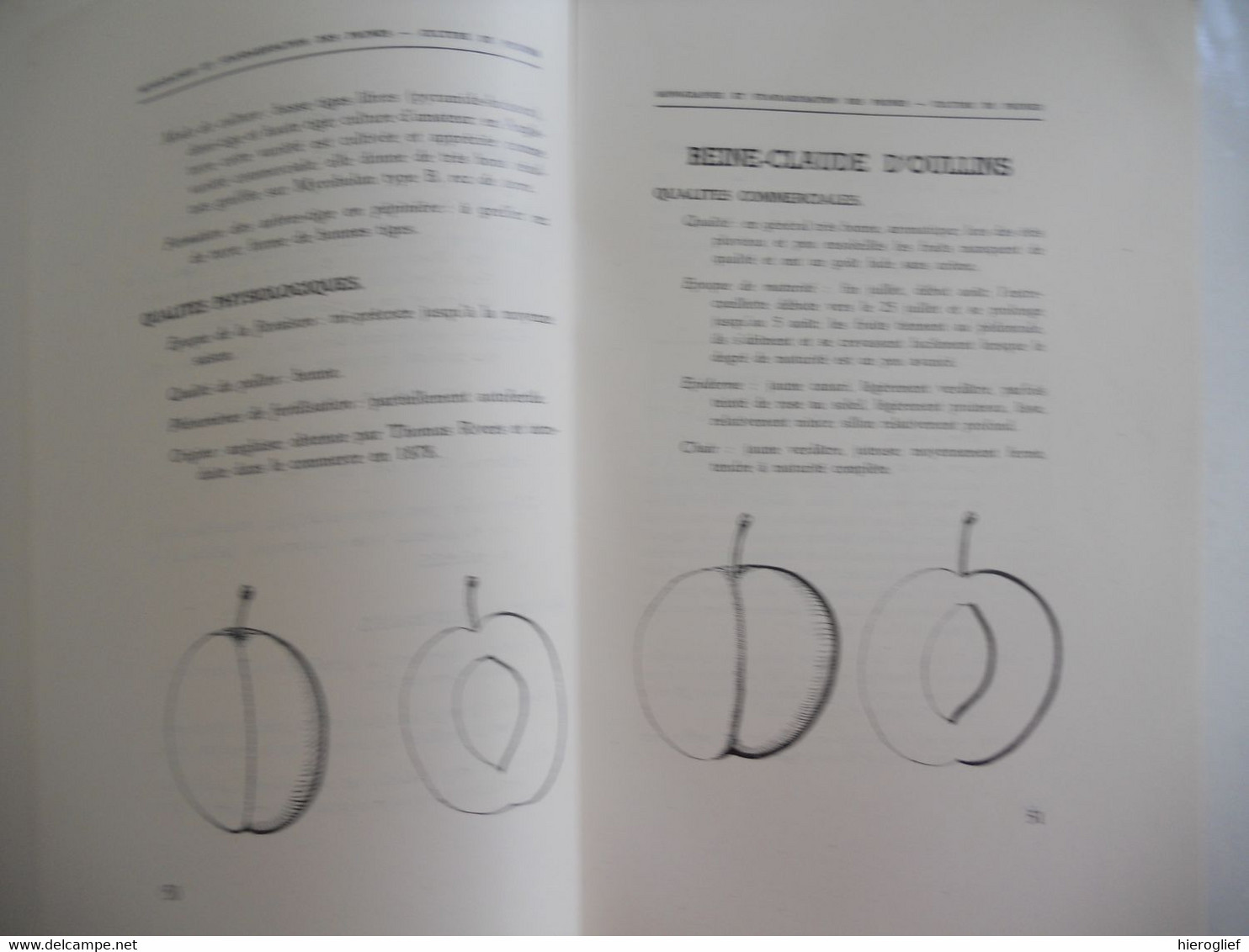 Monographie et Stardardisation des PRUNES - CULTURE de PRUNIER par Edm. Van Cauwenberghe 1942 Vilvoorde