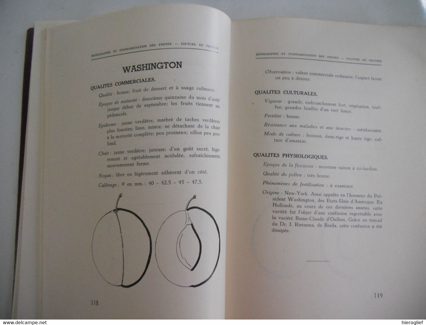 Monographie et Stardardisation des PRUNES - CULTURE de PRUNIER par Edm. Van Cauwenberghe 1942 Vilvoorde