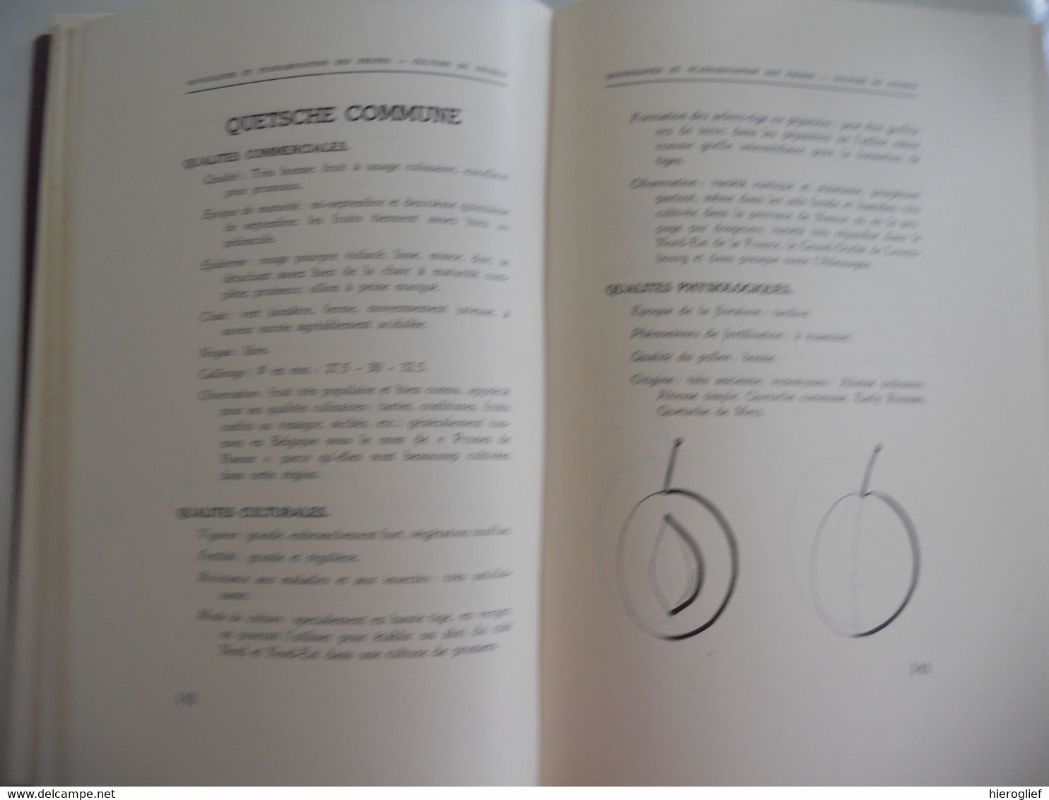 Monographie et Stardardisation des PRUNES - CULTURE de PRUNIER par Edm. Van Cauwenberghe 1942 Vilvoorde