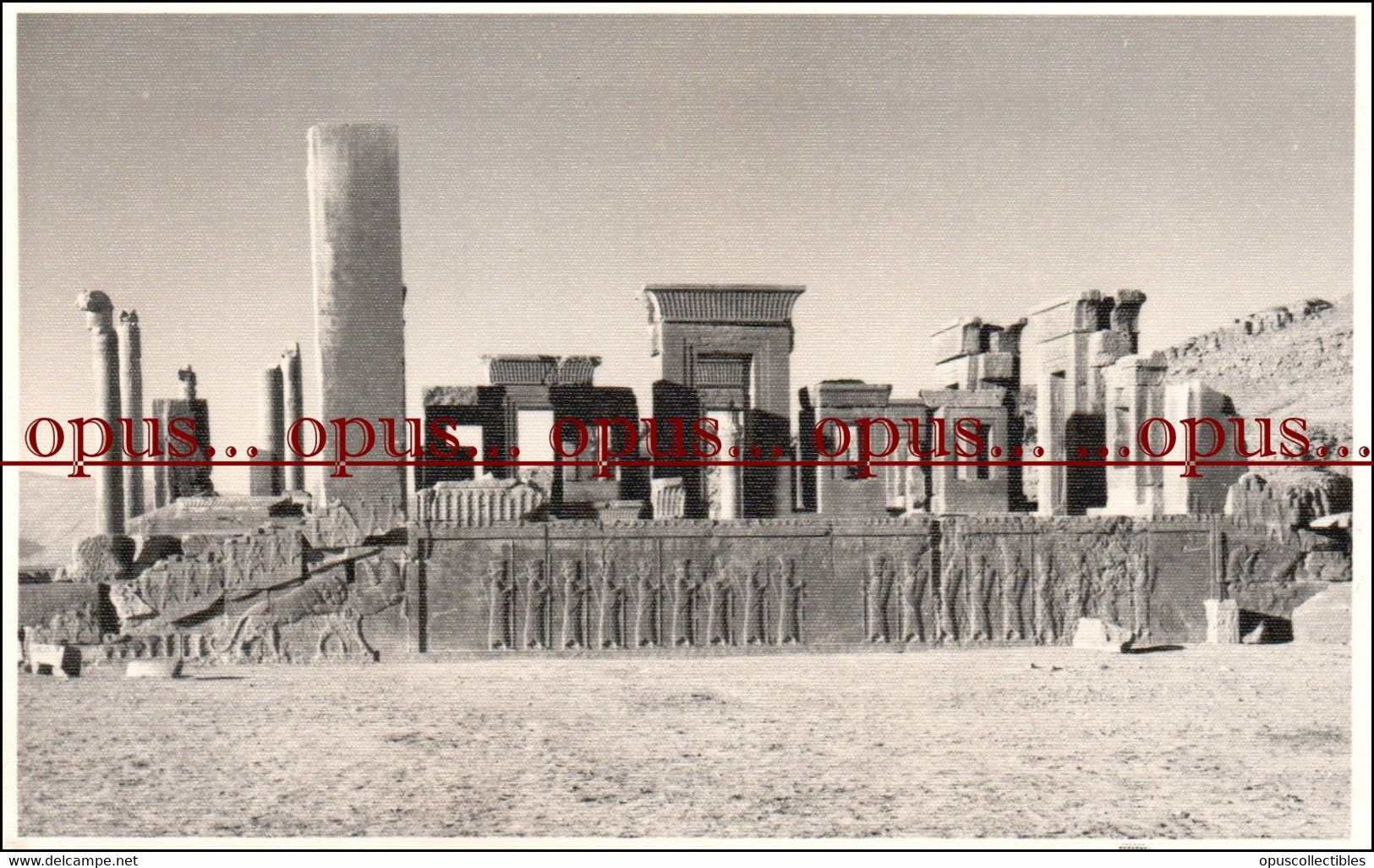 Real Photographic Postcard - 9x14 Cm | Iran, 1950/60 | Persepolis - Iran