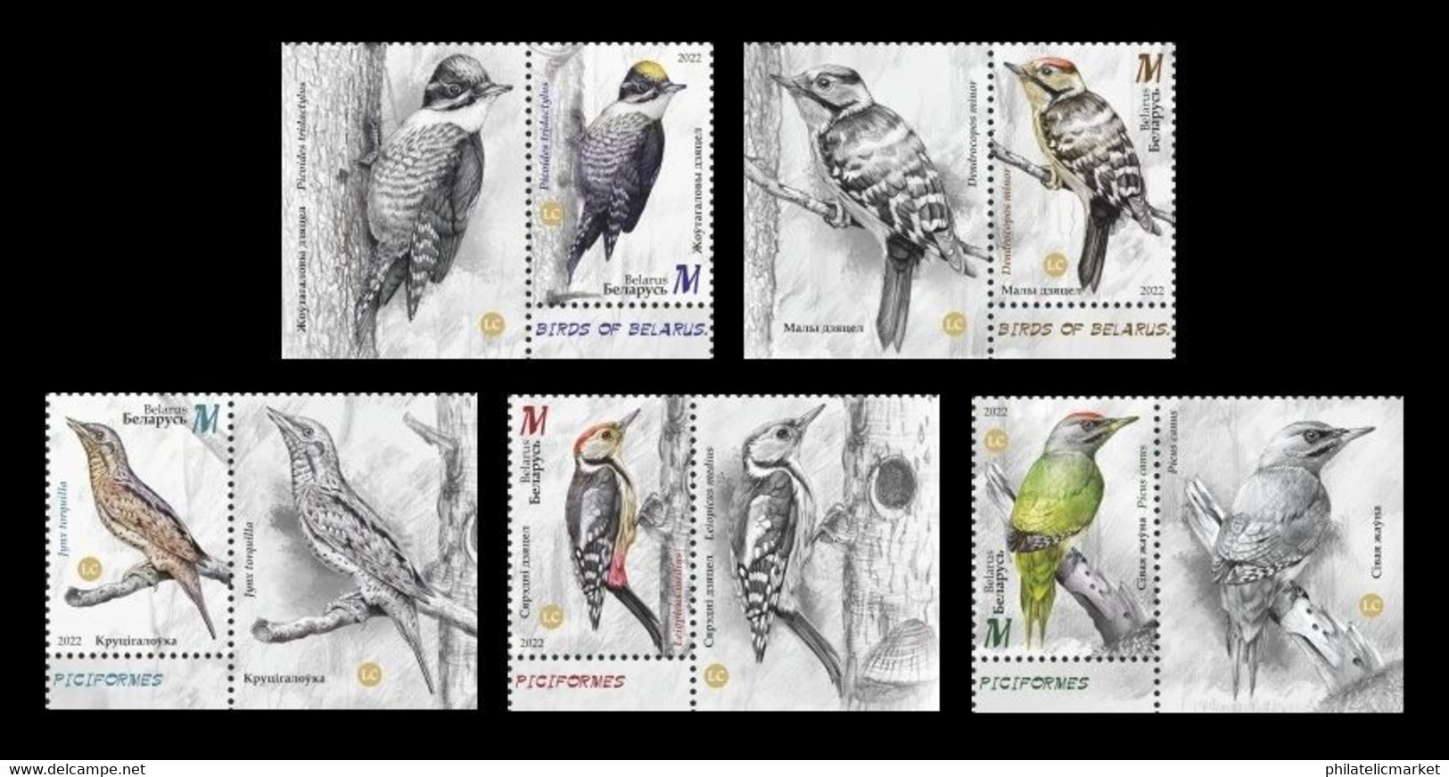 Belarus 2022 MiNr. 1456/60 Fauna. Birds. Woodpeckers (with Labels) MNH ** - Belarus