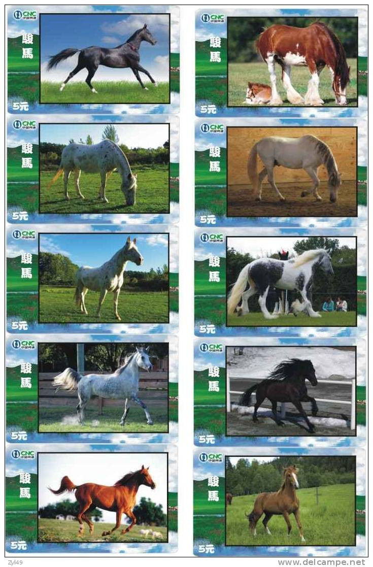A02325 China Phone Cards Horse 20pcs - Pferde