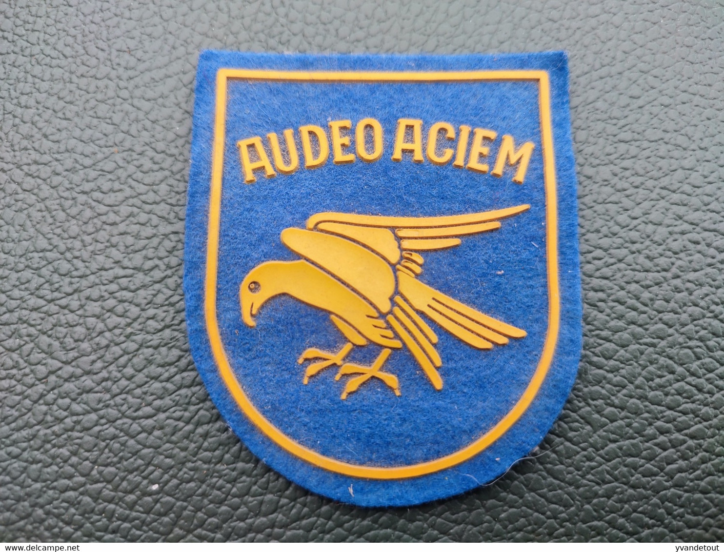 Ecusson Audeo Aciem. Aigle. Armée De L'air. Militariat. - Luftwaffe