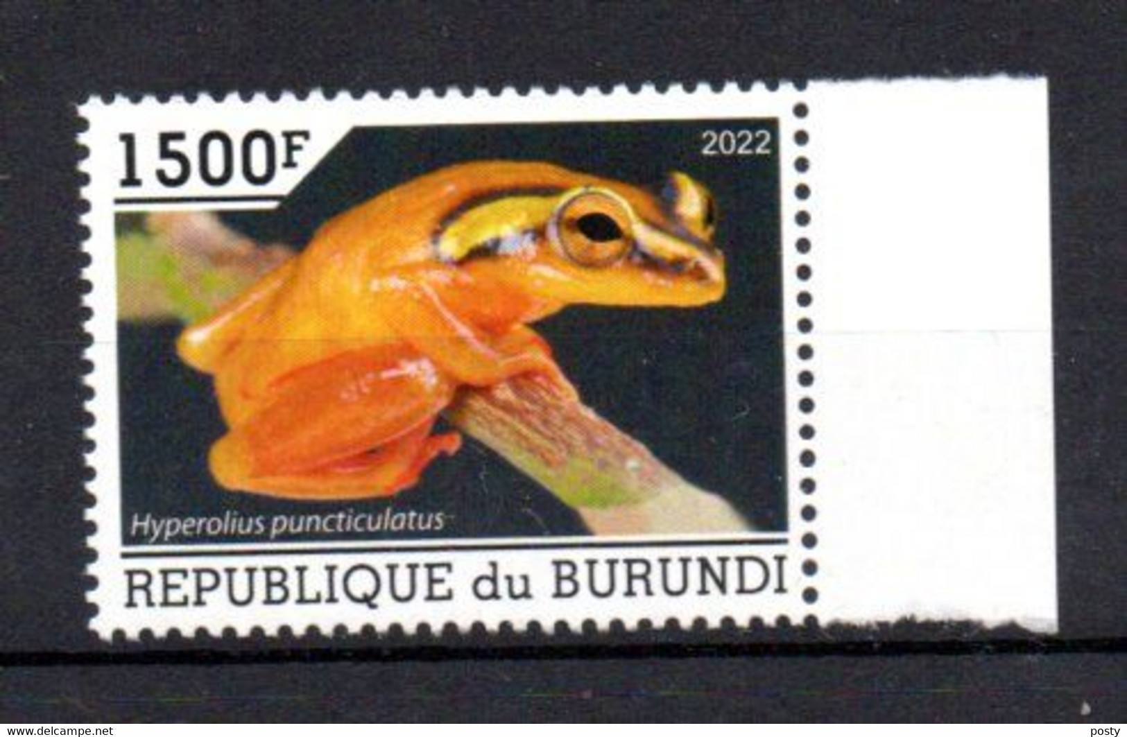 BURUNDI - 2022 - HYPERALIUS PUNCTICULATUS - GRENOUILLES - FROGS - FROSCH - - Unused Stamps