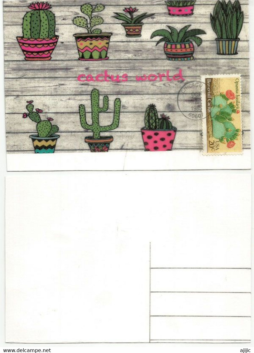 Beavertail Pricklypear Cactus ( Figuier De Castor)  Carte Maximum ETATS-UNIS  (série Cactus World) - Maximumkaarten