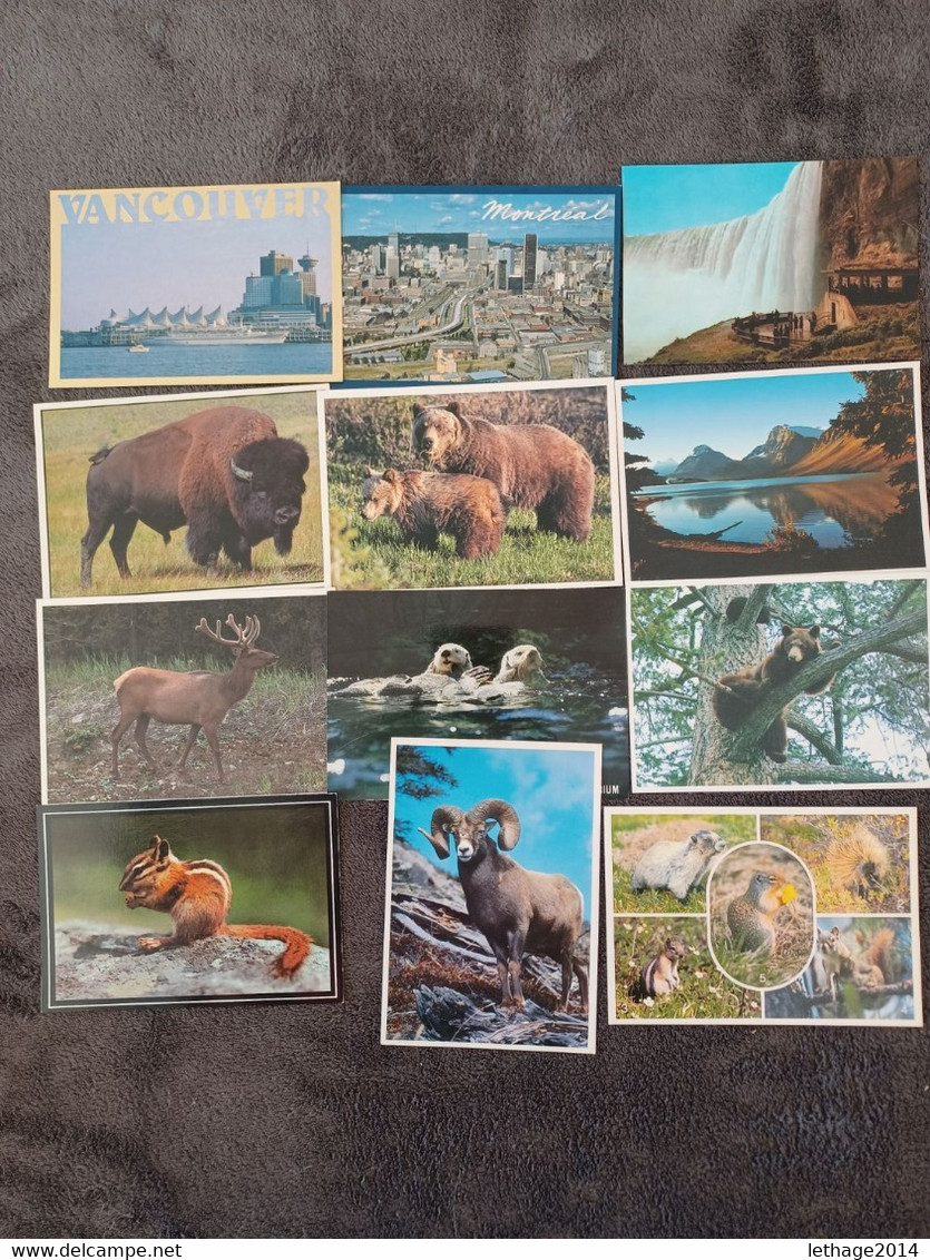 POSTCARD CANADA X 12TAJJ - Cartes Modernes