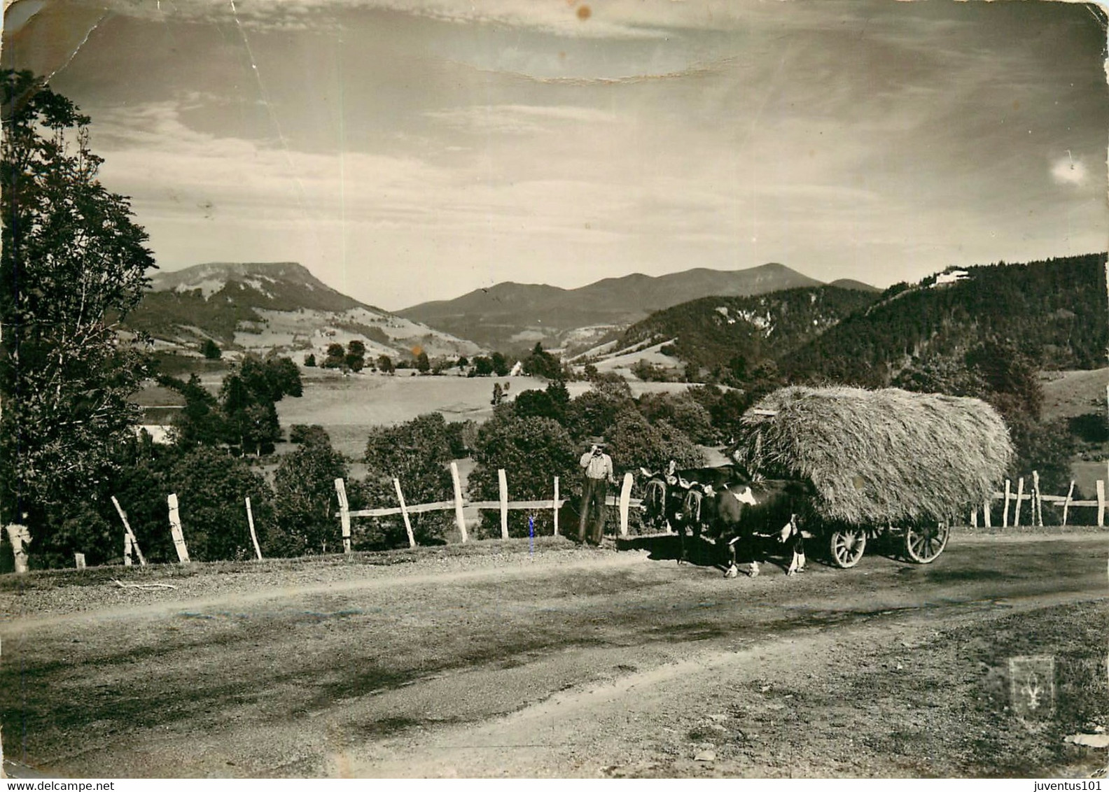 CPSM La Fenaison Avec Attelage De Vaches    L1589 - Attelages