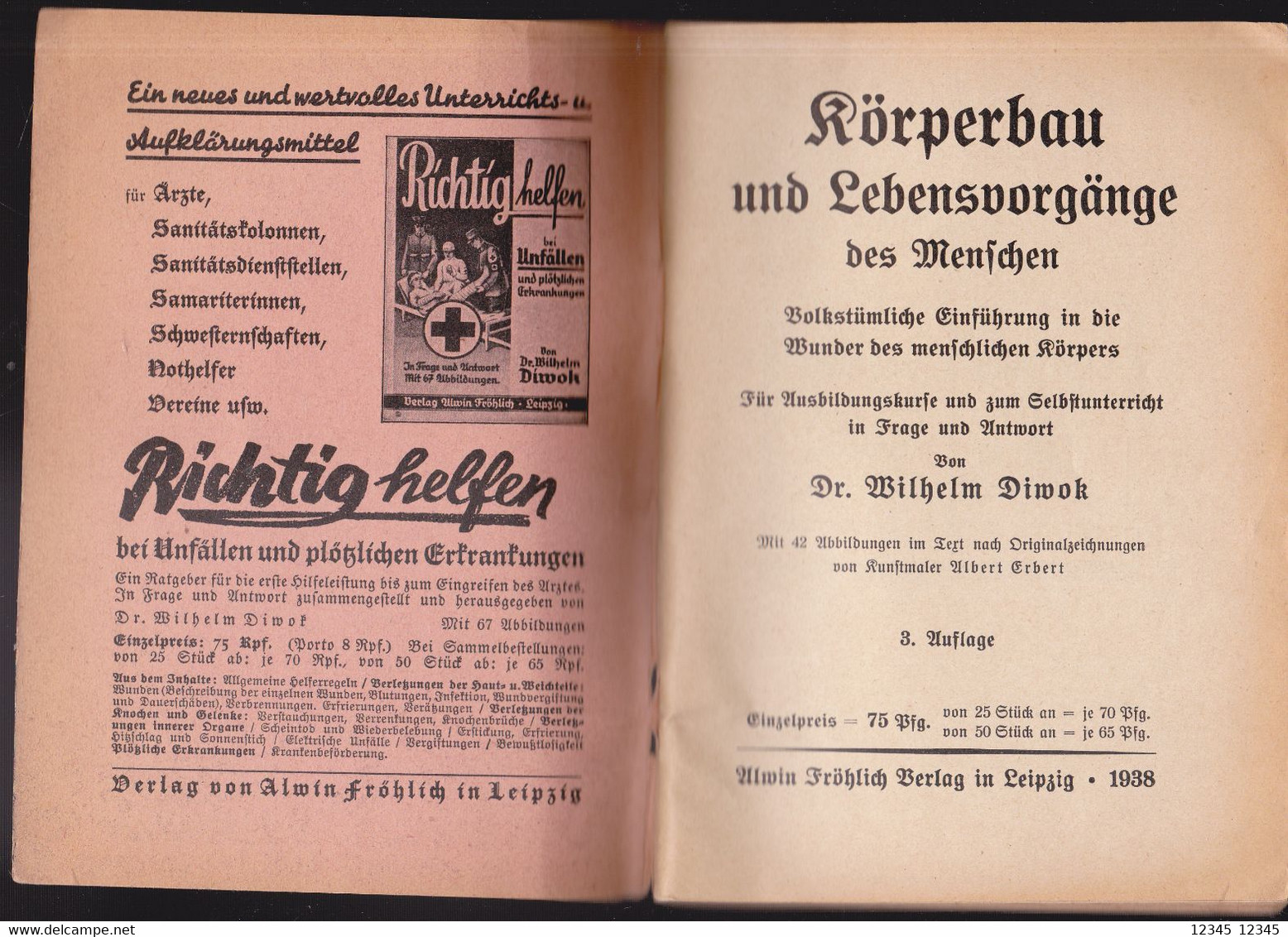 Körperbau 1938 - Schulbücher