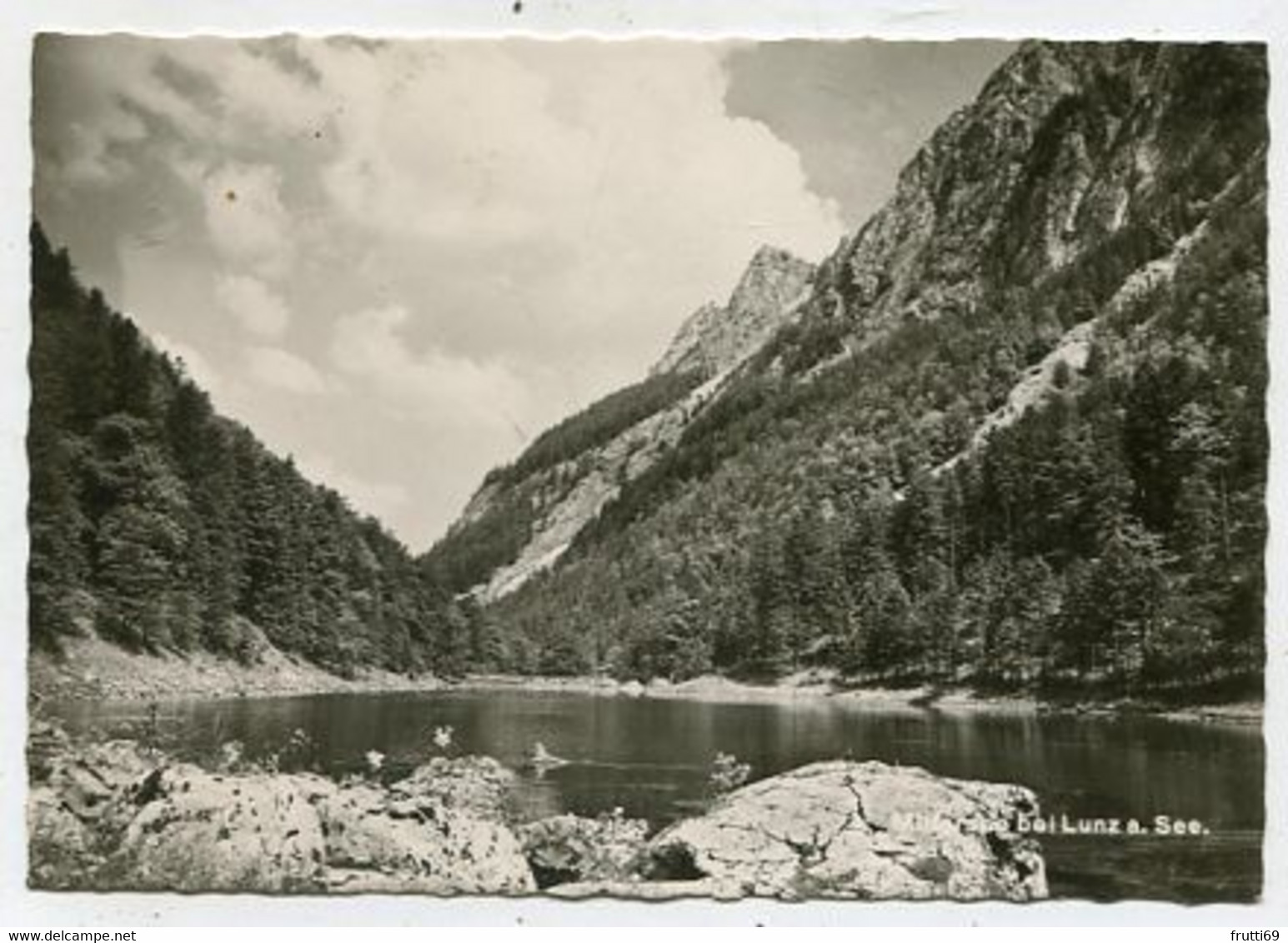 AK 056657 AUSTRIA - Mittersee (?) Bei Lunz Am See - Lunz Am See