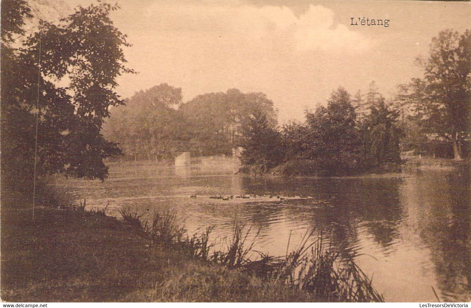 CPA Le Chateau Des Viviers - Le Roeulx - L'étang - Le Roeulx