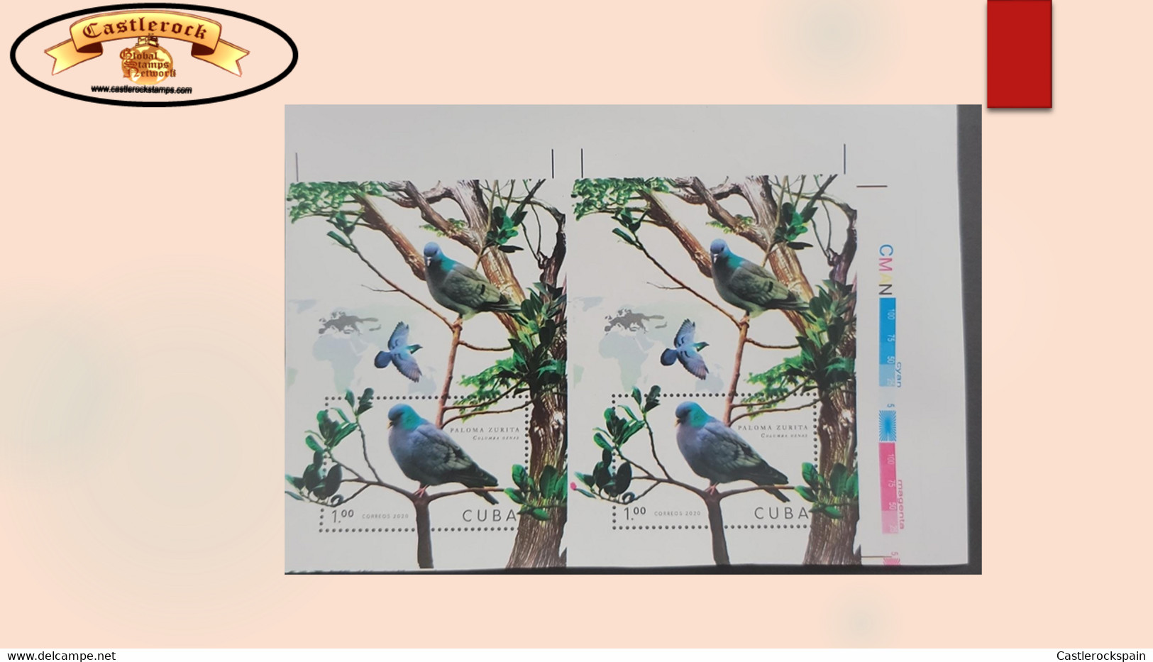 O) 2020 CUBA, CARIBBEAN, IMPERFORATED, BIRD, PIGEON - DOVE,  COLUMBA OENAS, CONSERVATION STATUS OF LESS CONCERN  LC, MNH - Geschnittene, Druckproben Und Abarten