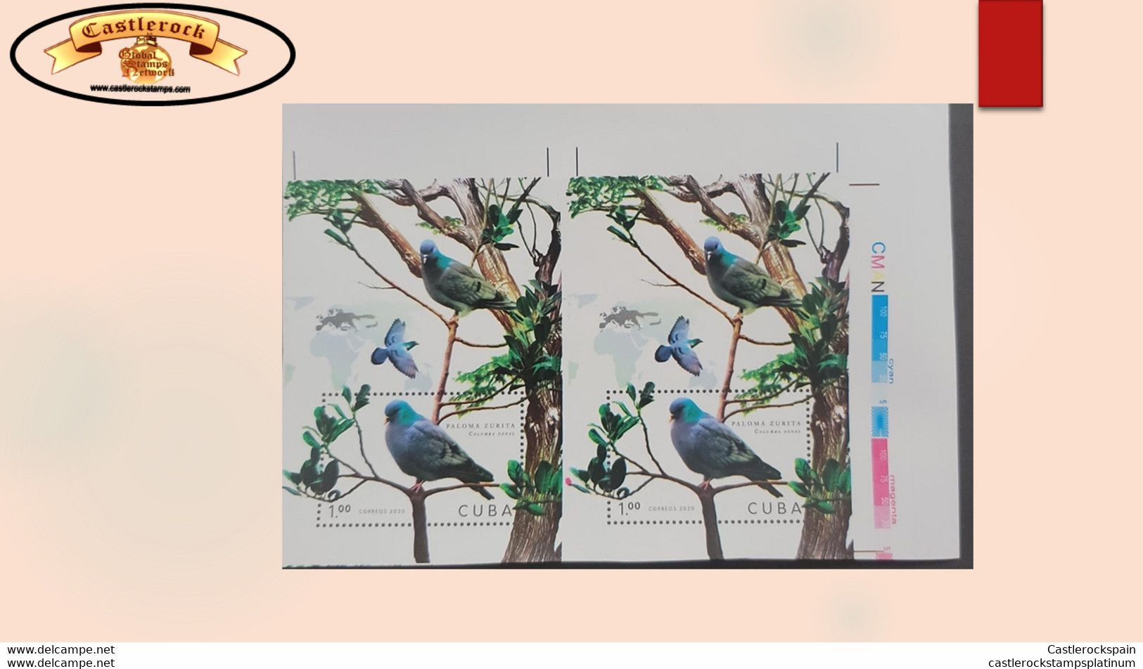 O) 2020 CUBA, CARIBBEAN, IMPERFORATED, BIRD, PIGEON - DOVE,  COLUMBA OENAS, CONSERVATION STATUS OF LESS CONCERN  LC, MNH - Imperforates, Proofs & Errors