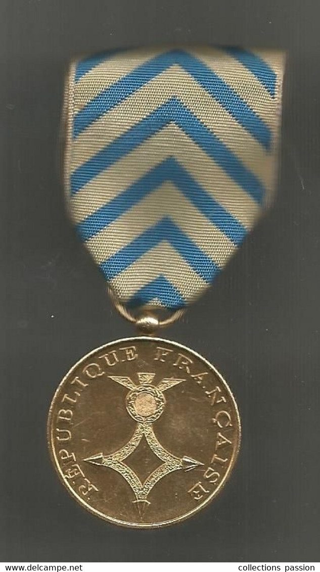 Médaille , Militaria , République Française, Médaille D'Afrique Du Nord , 2 Scans, 21.50 Gr , Dia. 35 Mm, Frais Fr 3.35e - Francia