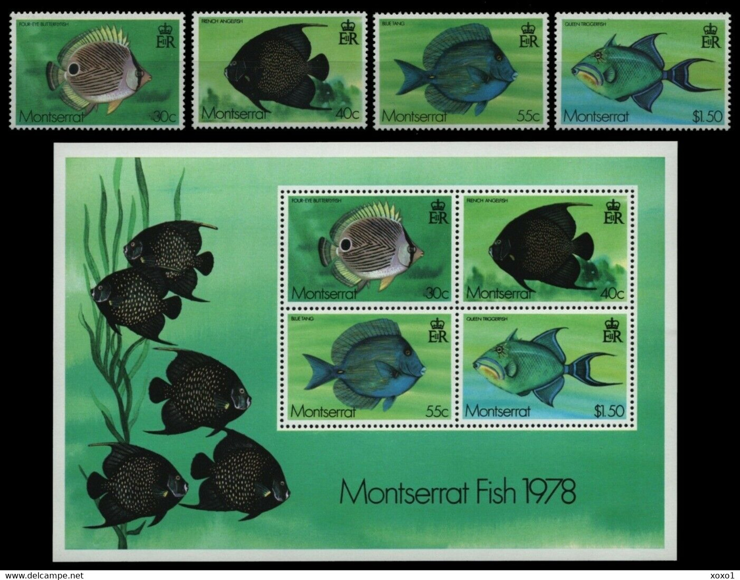Montserrat 1978 MiNr. 381 - 384 (Block 15)   Marine Life Fishes 4v + S\sh MNH** 12.50 € - Montserrat