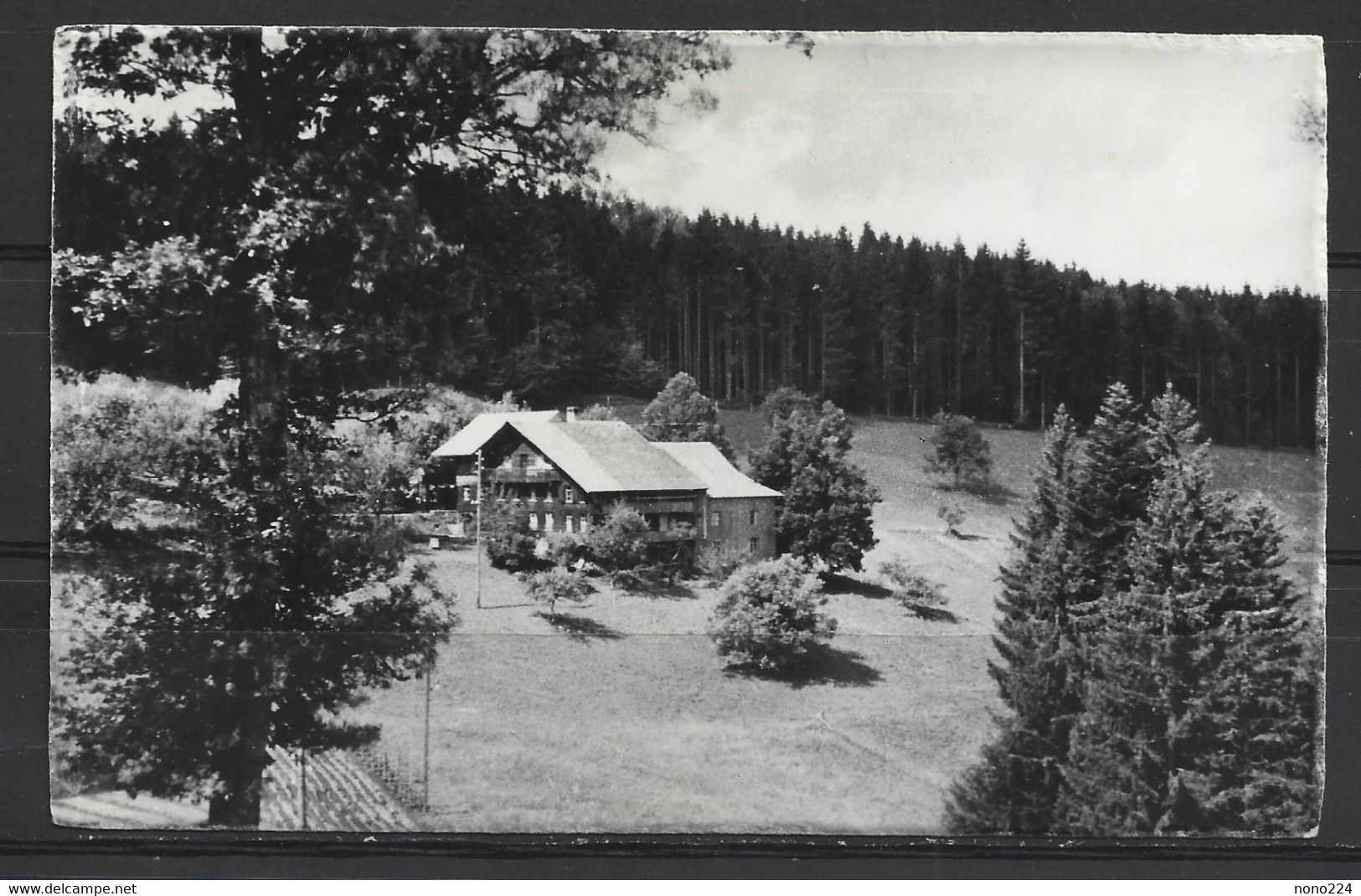 Carte P De 1952 ( Riggisberg ) - Riggisberg 