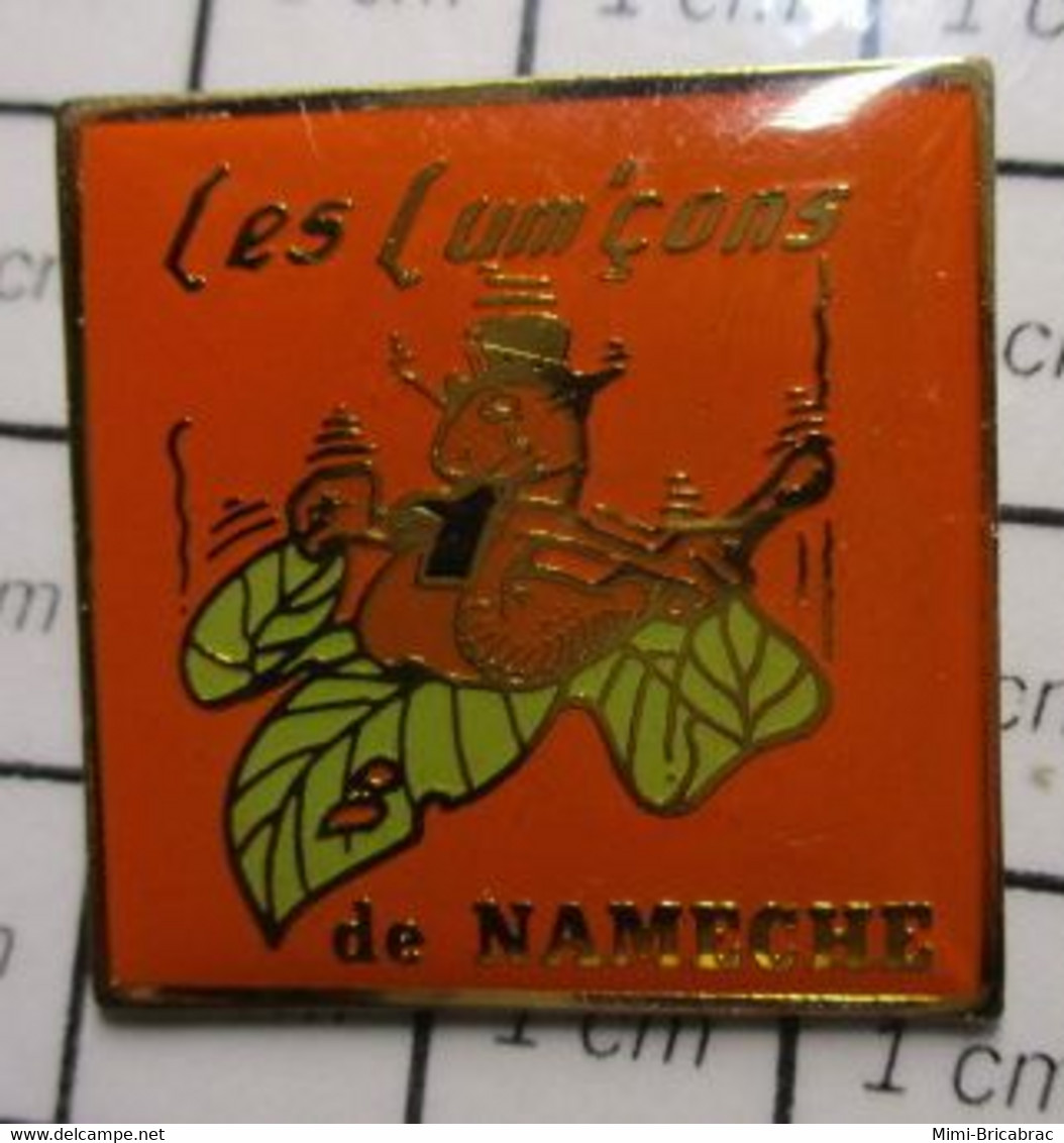 1718b Pin's Pins / Beau Et Rare / THEME : SPORTS / CLUB DED TIR A L'ARC BELGE LES LUM'çONS DE NAMECHE - Bogenschiessen