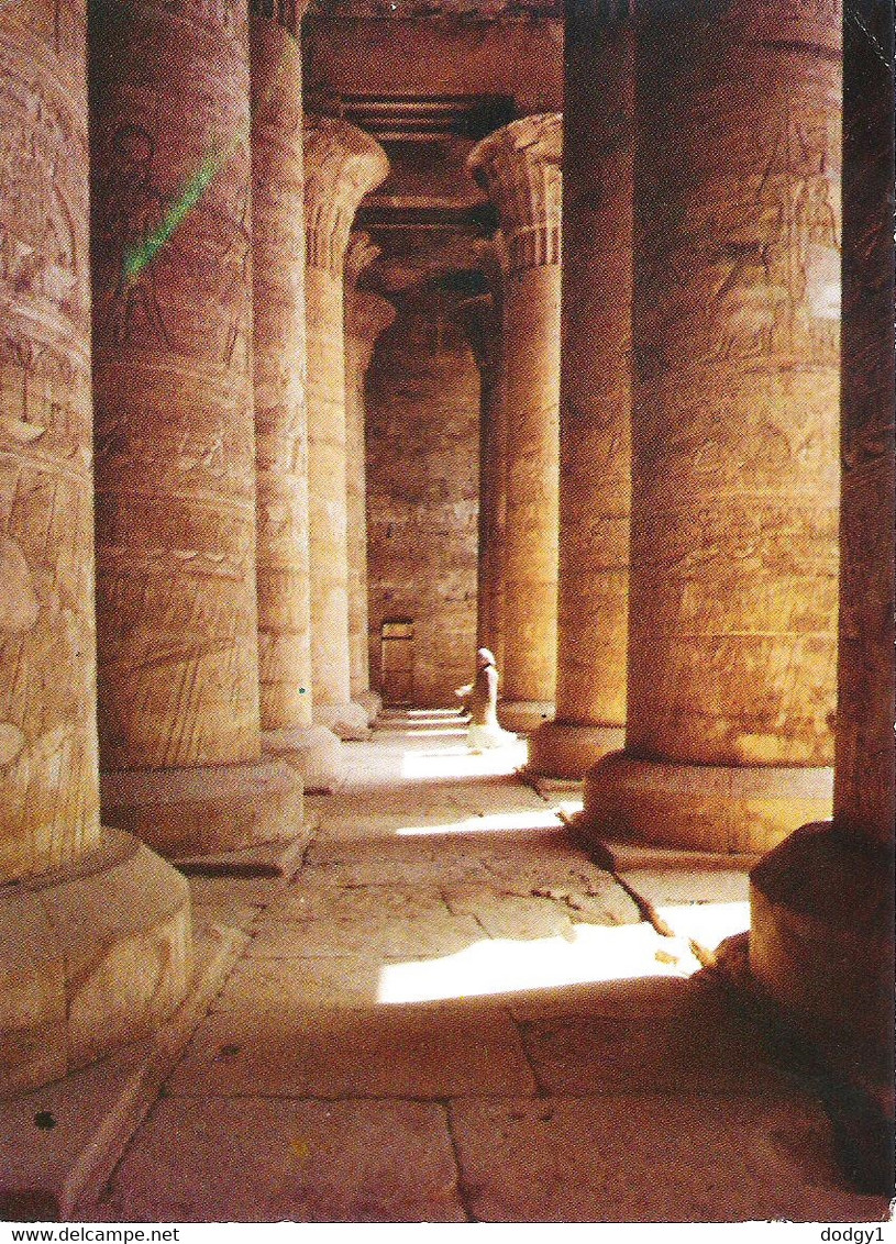 THE TEMPLE AT EDFU, EGYPT. UNUSED POSTCARD Km1 - Idfu