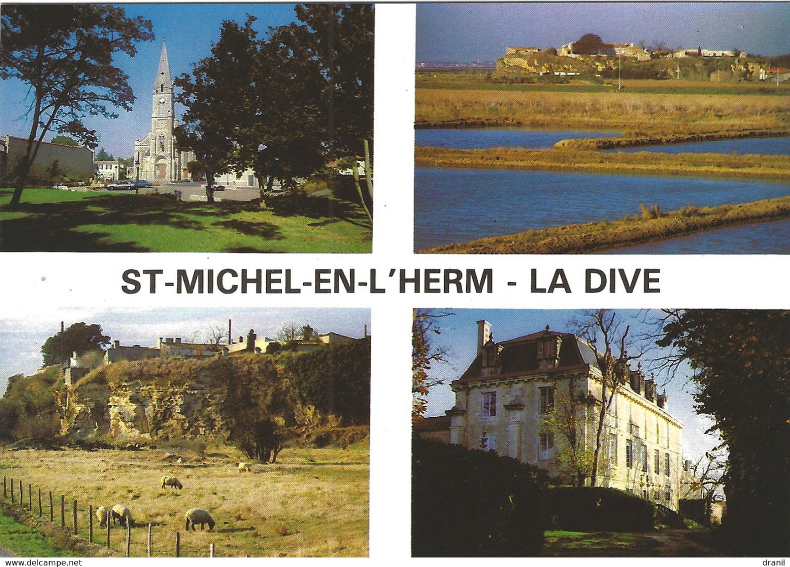 85 - Vendée - ST MICHEL EN L'HERM - LA DIVE - Multivues - Saint Michel En L'Herm