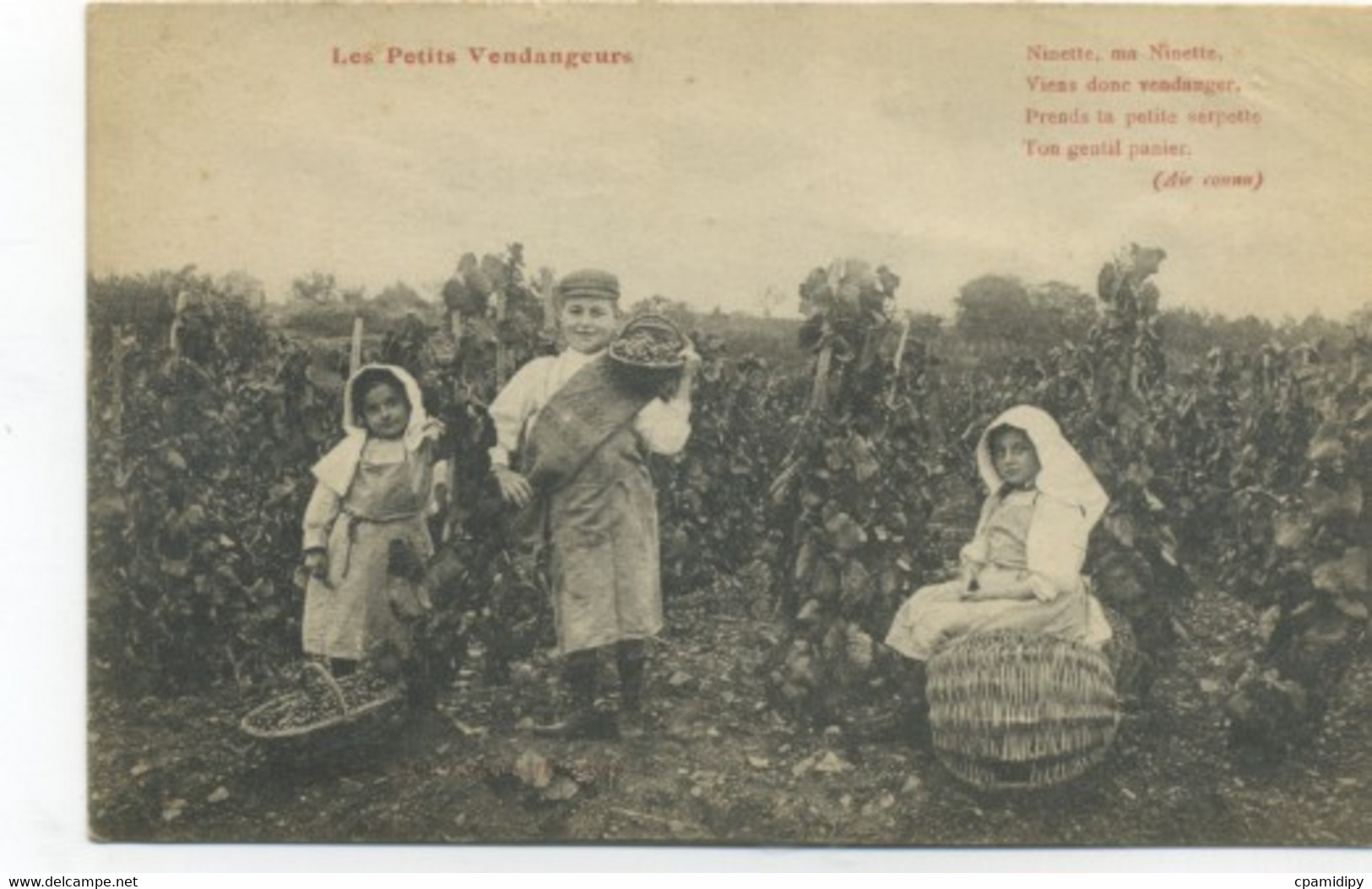 METIERS - LES VENDANGES -Les Petits Vendangeurs - Ninette, Ma Ninette Viens Donc Vendanger Prends Ta Petite Serpette - Landbouwers