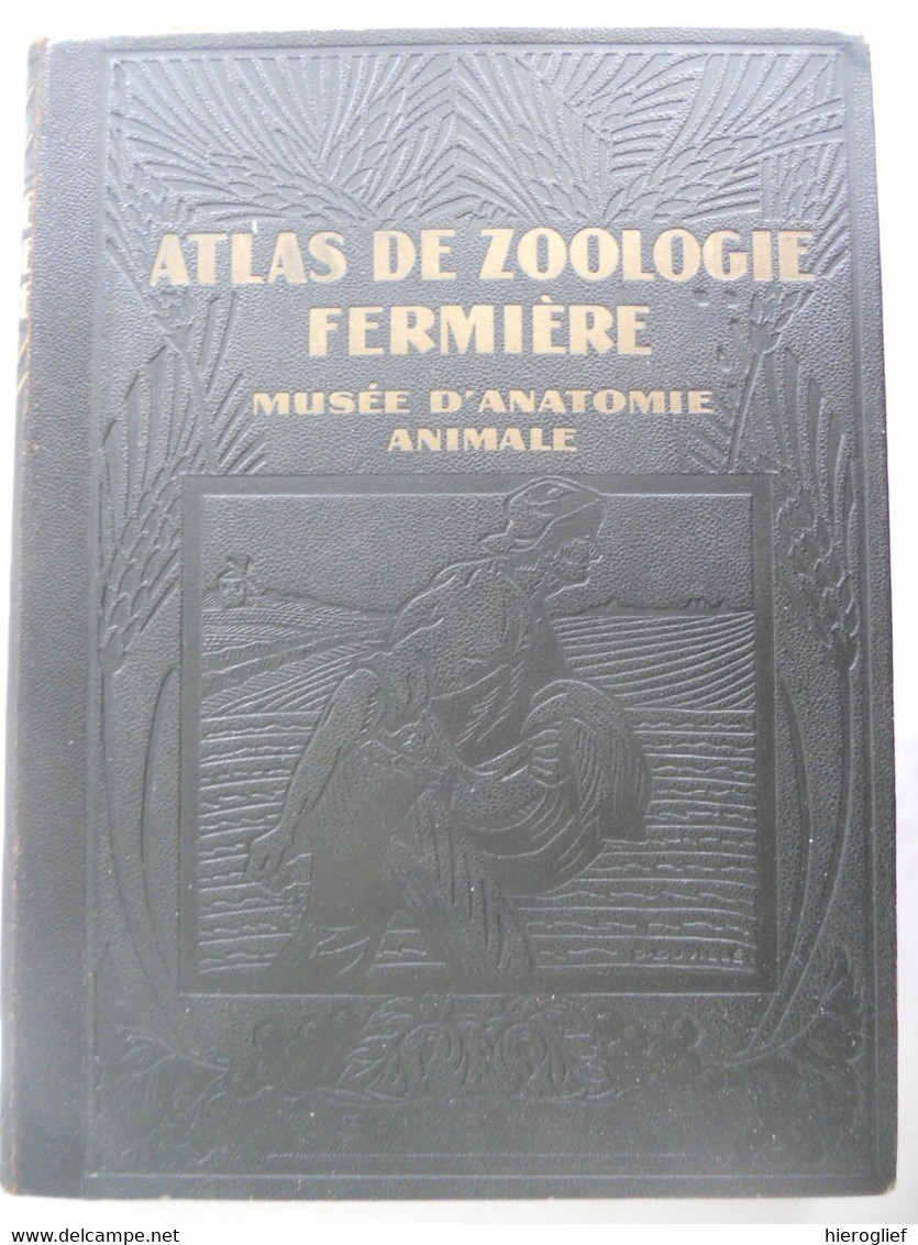 Atlas De Zoölogie Fermière - Musée D'anatomie Animale - Le Cheval La Vache Le Porc La Truie Le Mouton Le Coq La Poule - Animales