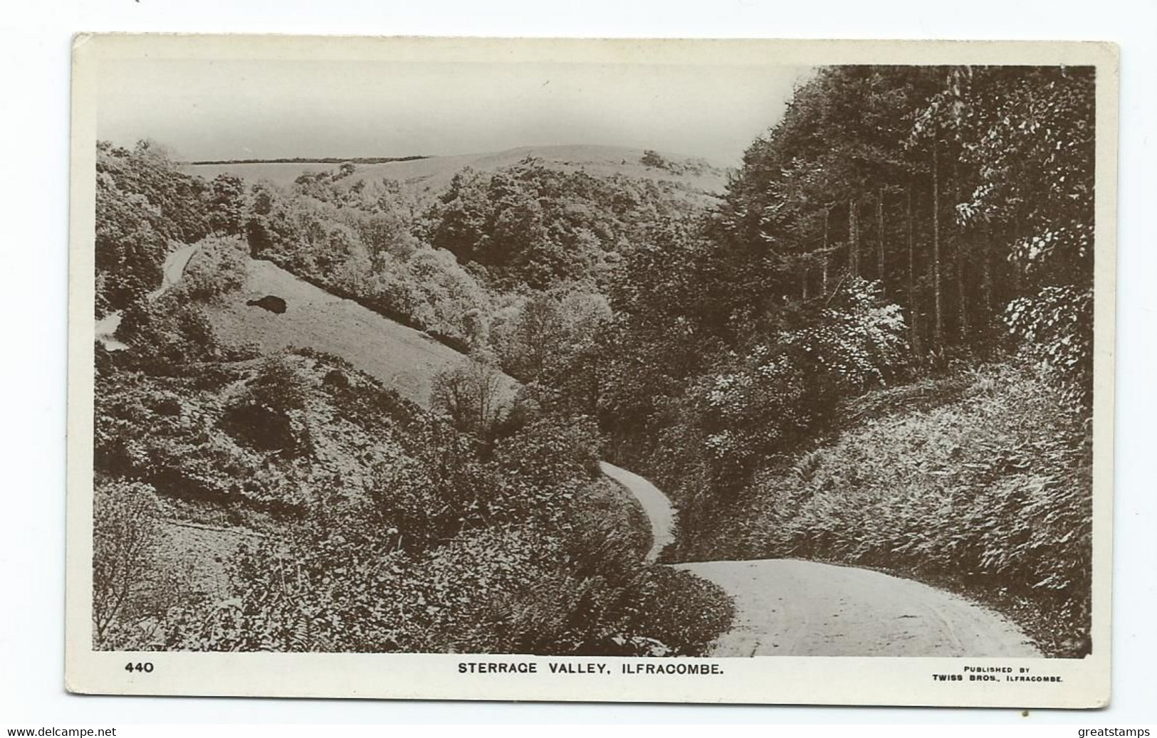Postcard Ilfracombe Rp Sterrage Valley Twiss Bros. Unused - Ilfracombe