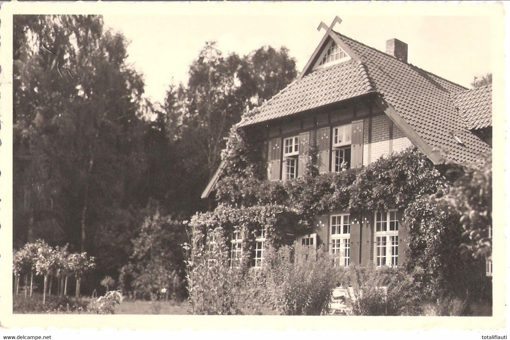 WARIN Efeuberankte Villa Original Private Foto Ansichtskarte Autograf Adel 30.9.1936 Gelaufen TOP-Erhaltung - Sternberg