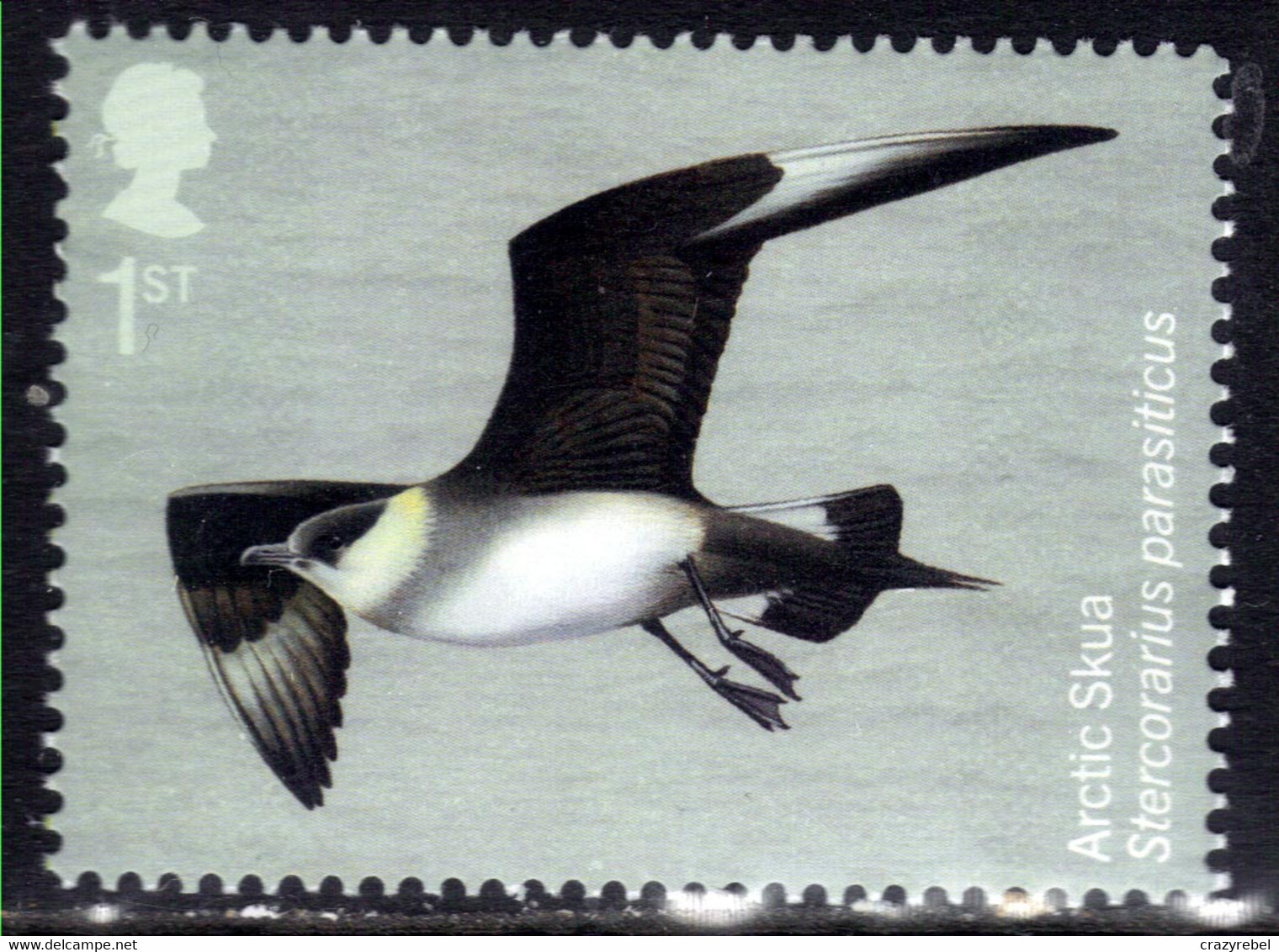 GB 2022 QE2 1st Migratory Birds Arctic Skua Umm ( A455) - Unused Stamps