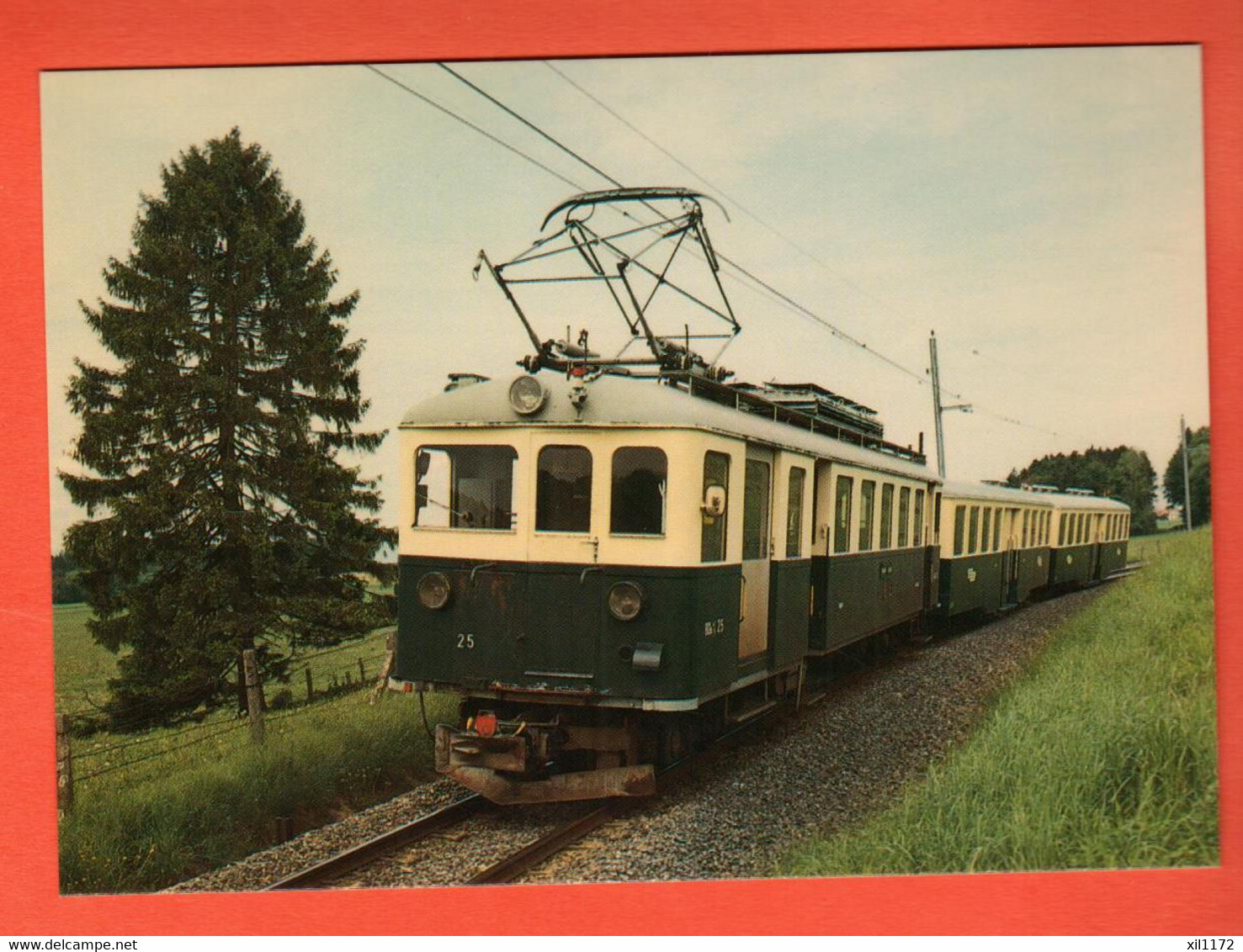 ZPR-06 Ligne De Train Lausanne-Echallens-Bercher  Entre Fey Et Sugnens Photo Hadorn 1986 GF NC - Fey