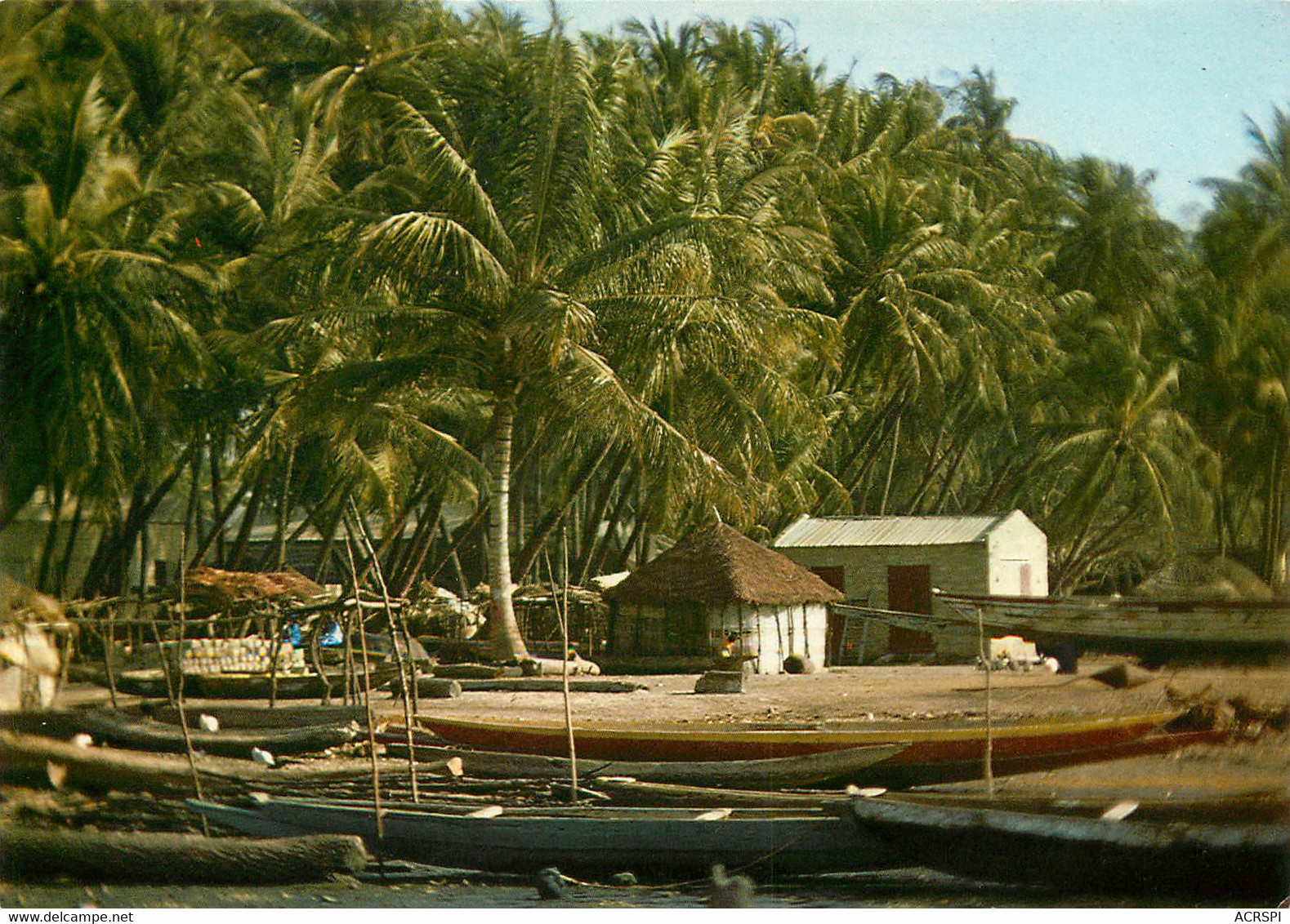 SENEGAL  DIONEVAR Une Ile Du SALOUM  45  MA1610Bis - Senegal