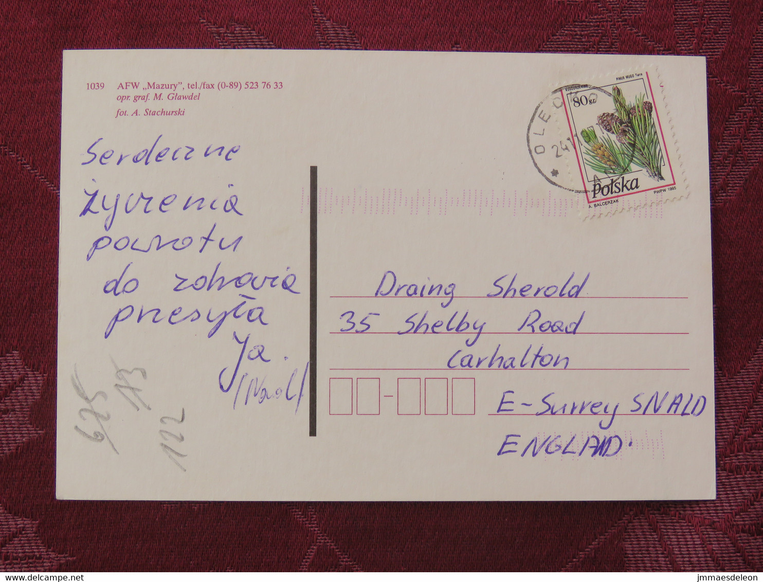 Poland 1997 Postcard "lake Fishing Sunset" Olecko To England - Pinecones Pinus Tree - Lettres & Documents