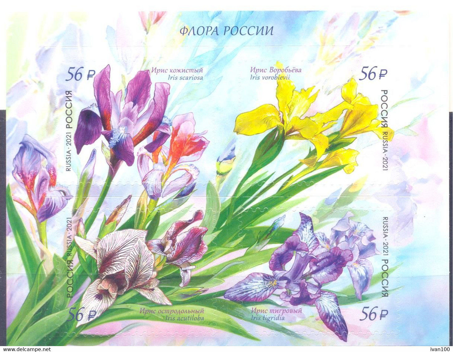 2021. Russia, Flora, Flowers, Irises, 4v Self-adhesives, Mint/** - Ungebraucht